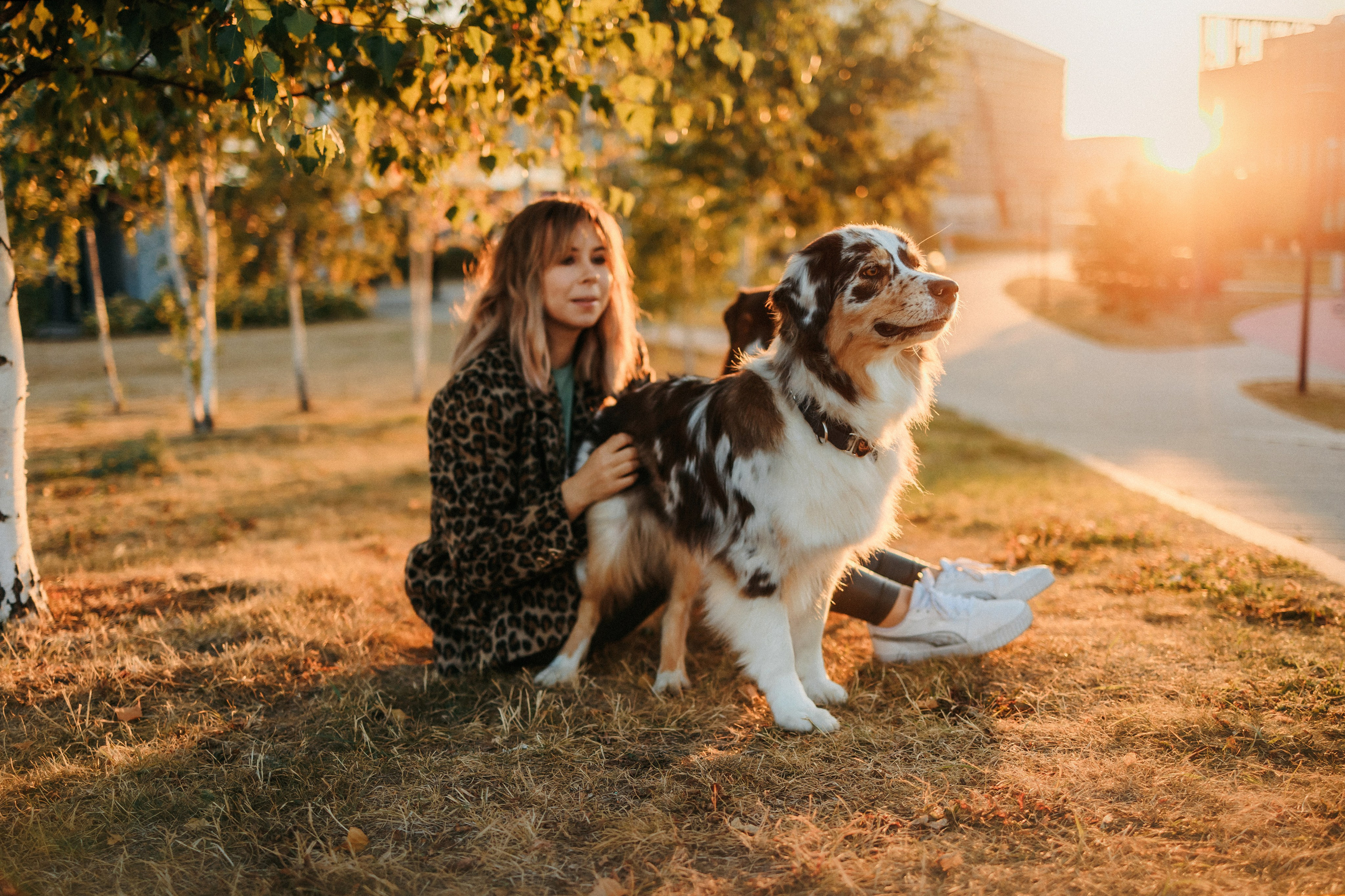 Аня, Чарли и Ева. Фотограф-анималист Елена Радченко, Москва