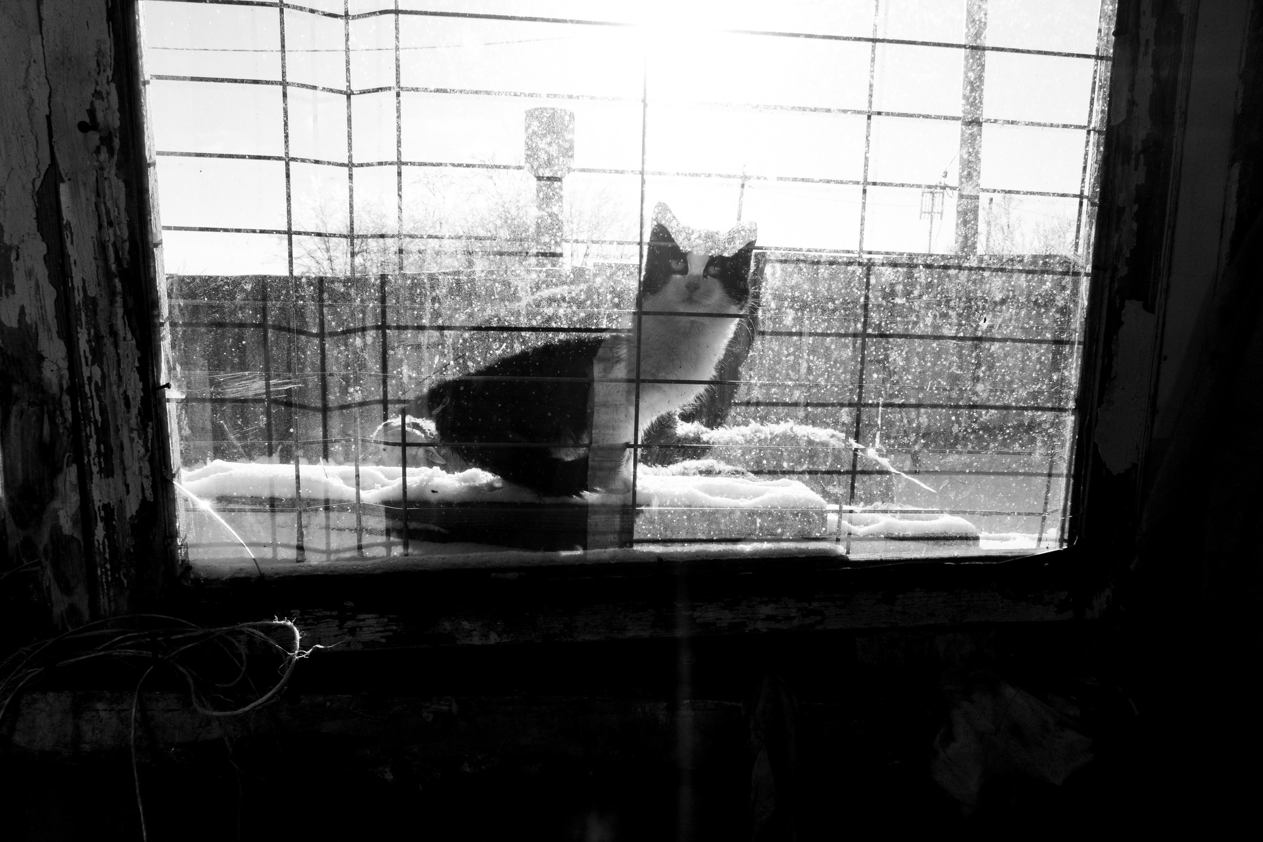 Ферма. Фотограф Антон Денисенко: Портрет, Документалистика, Пейзаж. Москва