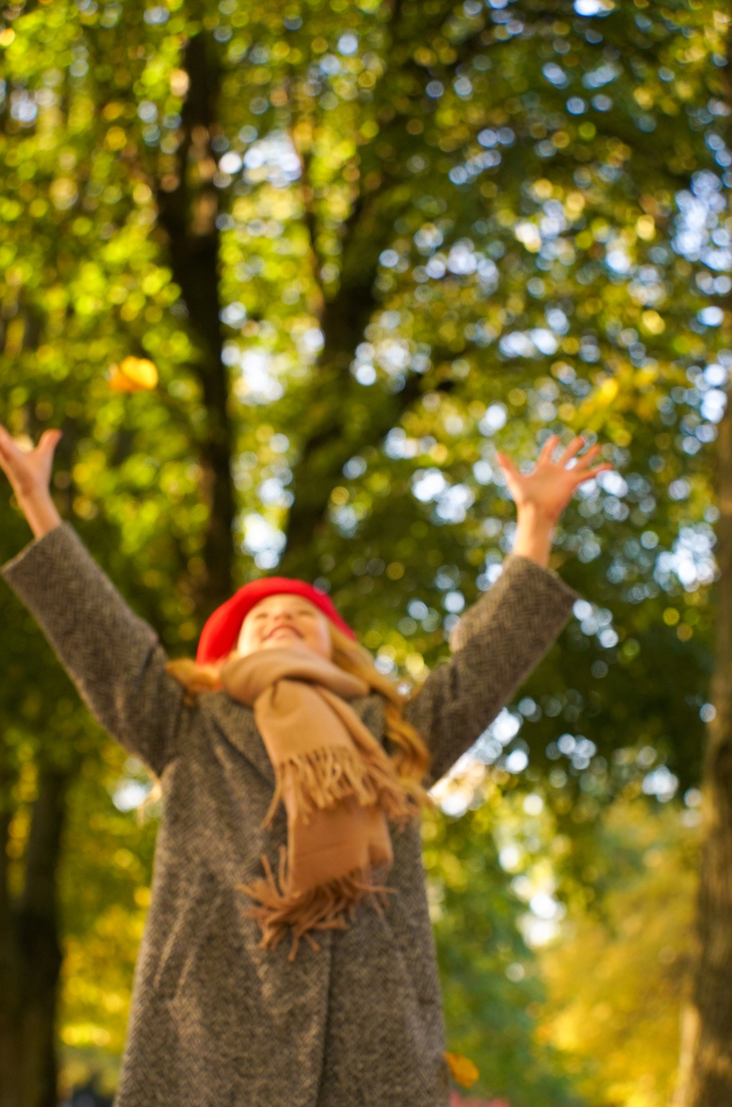 Золотая осень. Видеограф Осинина Татьяна — видеосъемка в Москве