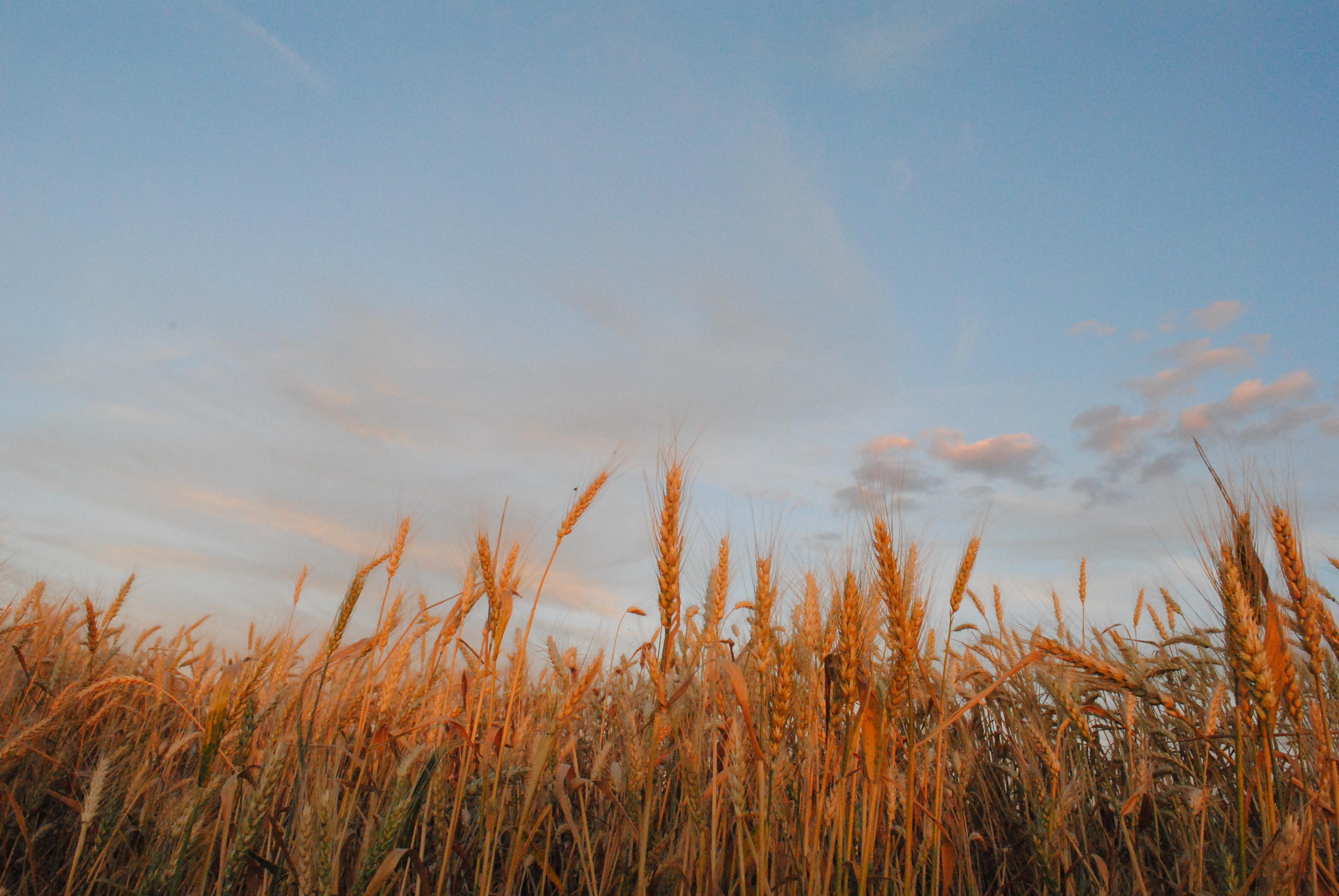 Психолог и лайфстайл фотограф Михина Татьяна