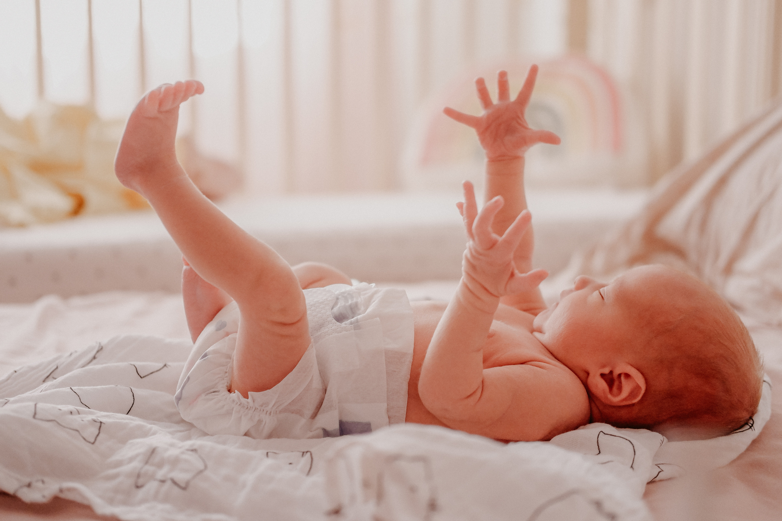 Мой Лев. Семейный фотограф в Оренбурге Юлия Зиборева