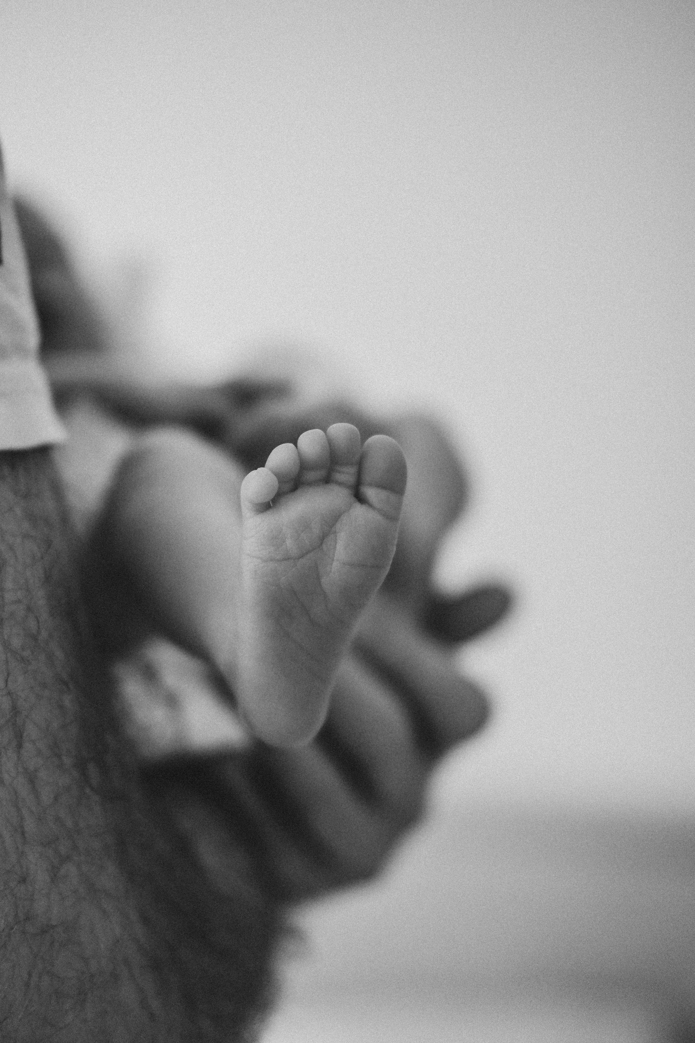 Мой Лев. Семейный фотограф в Оренбурге Юлия Зиборева