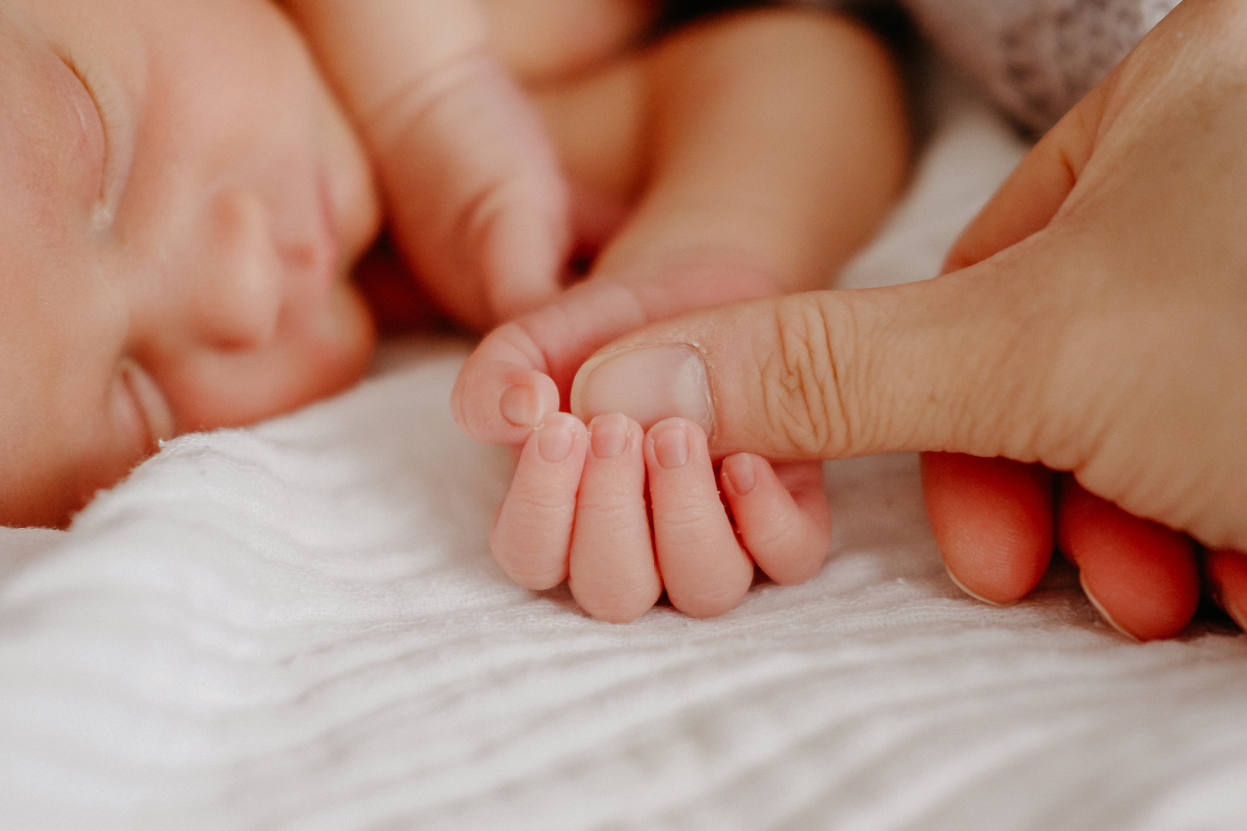 Мой Лев. Семейный фотограф в Оренбурге Юлия Зиборева