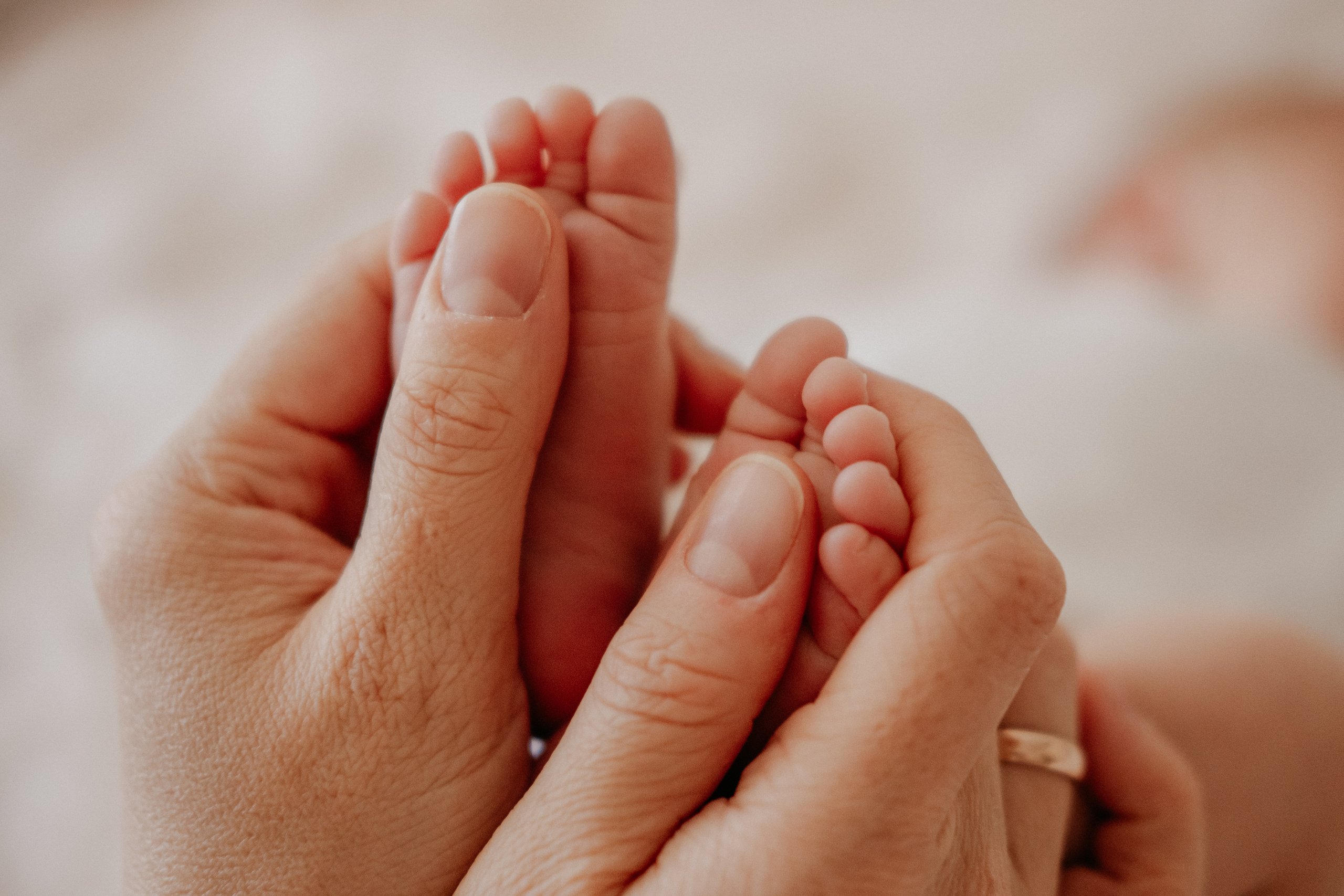 Мой Лев. Семейный фотограф в Оренбурге Юлия Зиборева