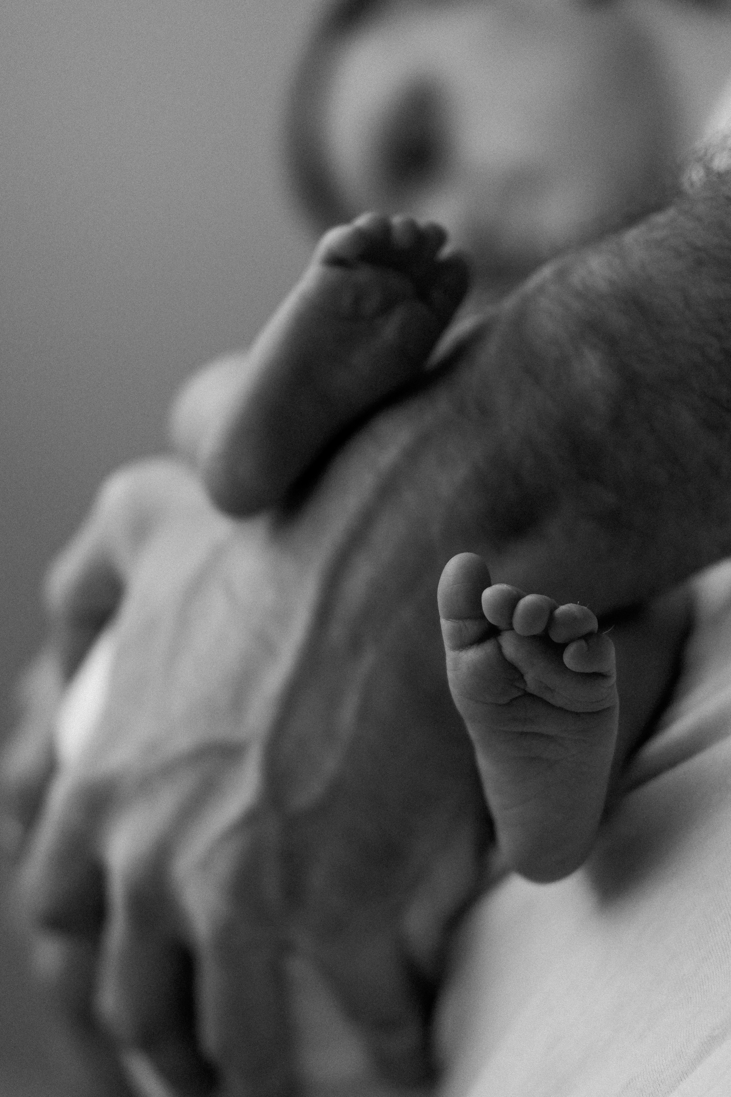 Мой Лев. Семейный фотограф в Оренбурге Юлия Зиборева