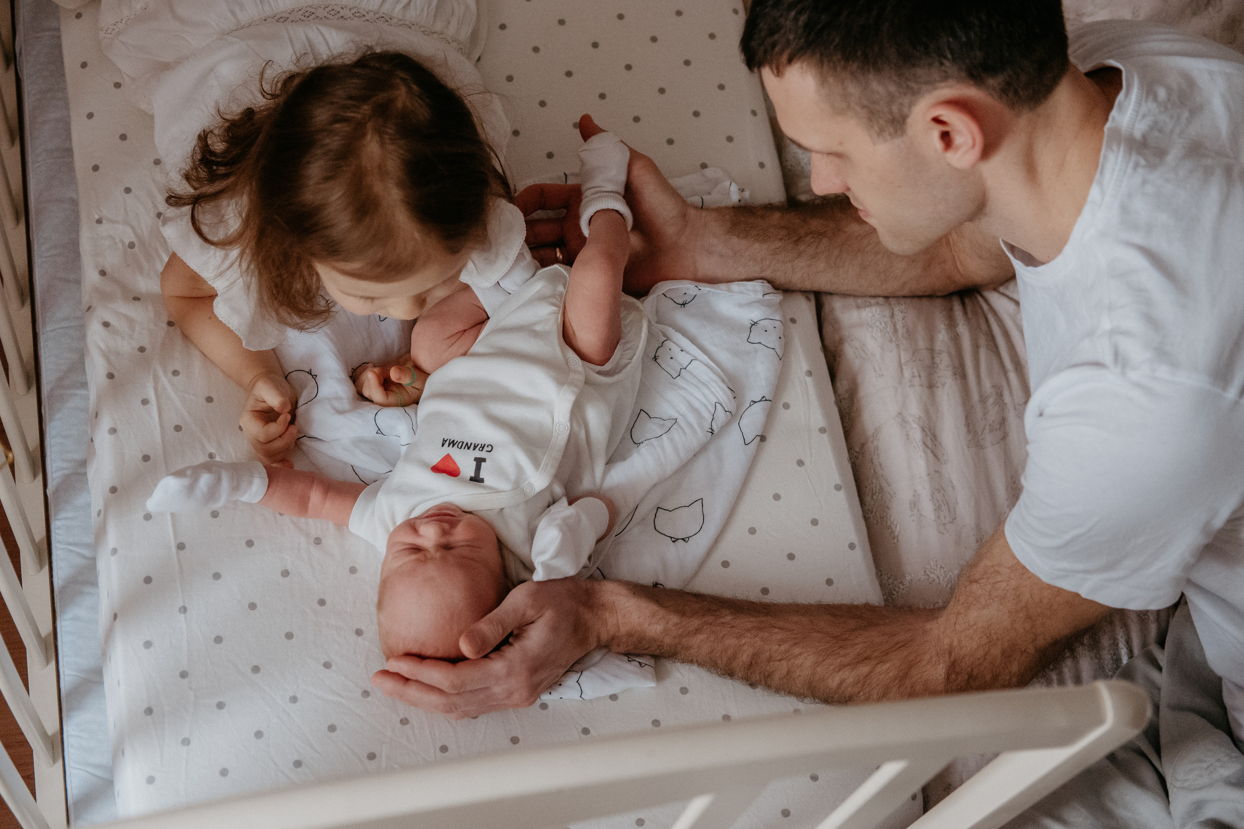 Мой Лев. Семейный фотограф в Оренбурге Юлия Зиборева