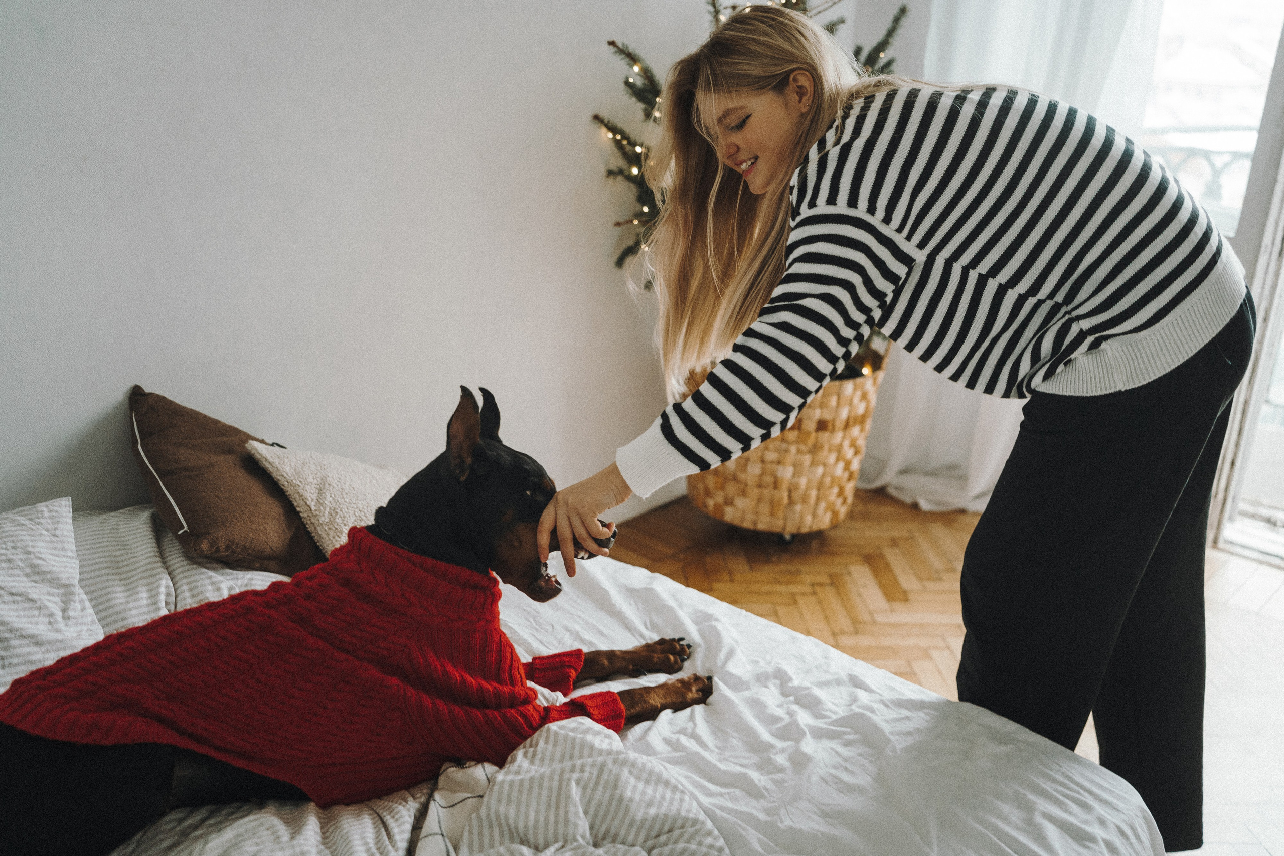 Саша и Асти. Фотограф анималист в Москве и Санкт-Петербурге Свиридова Анна