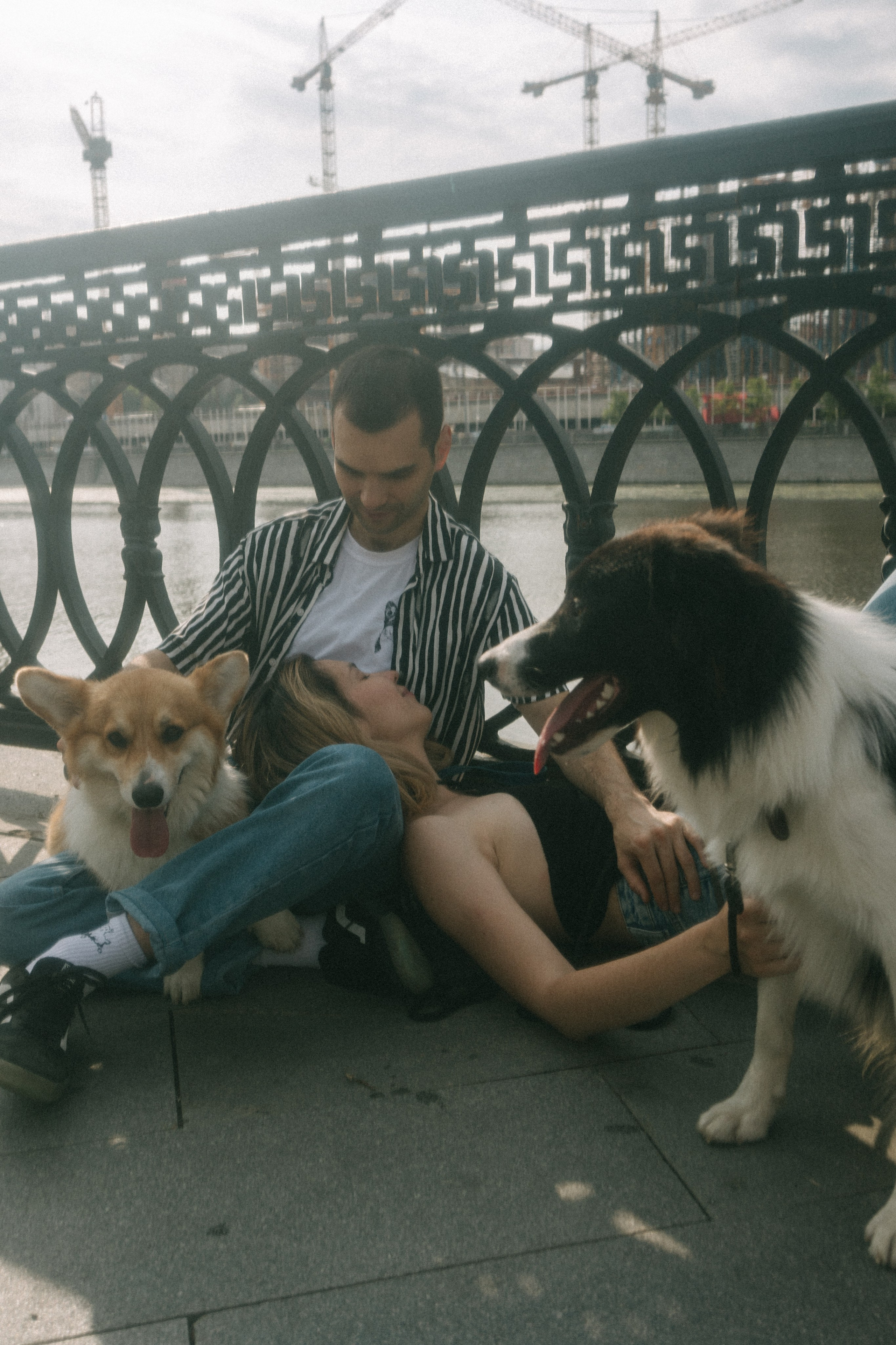 Брюс, Вейв и их ро. Фотораф — анималист Мария Шистка