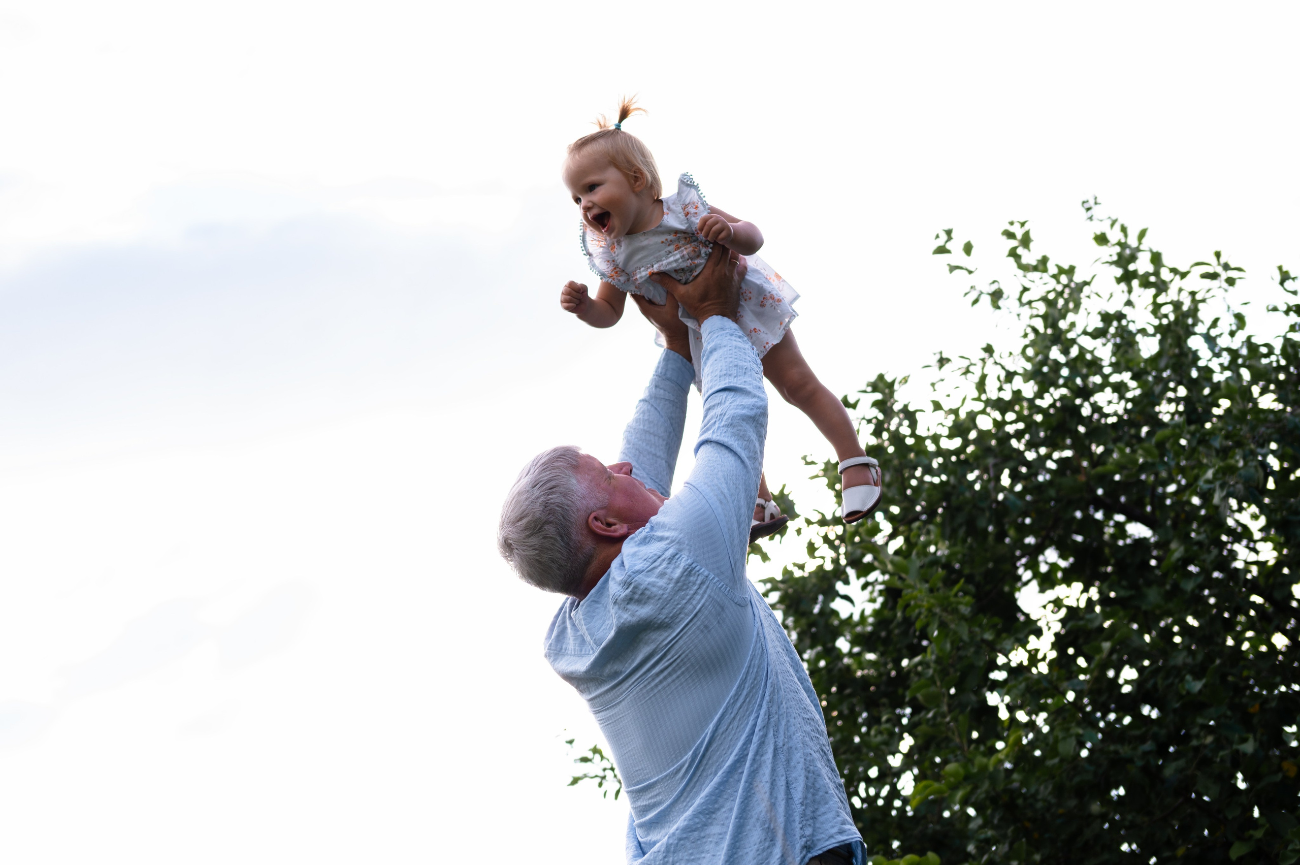 Ромашки и утята. Главная