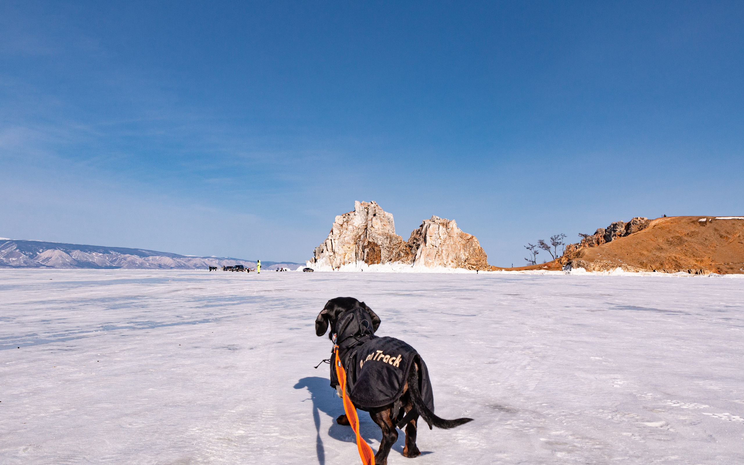 Фотосъёмка животных. Предметный и репортажный фотограф Алексей Кротов