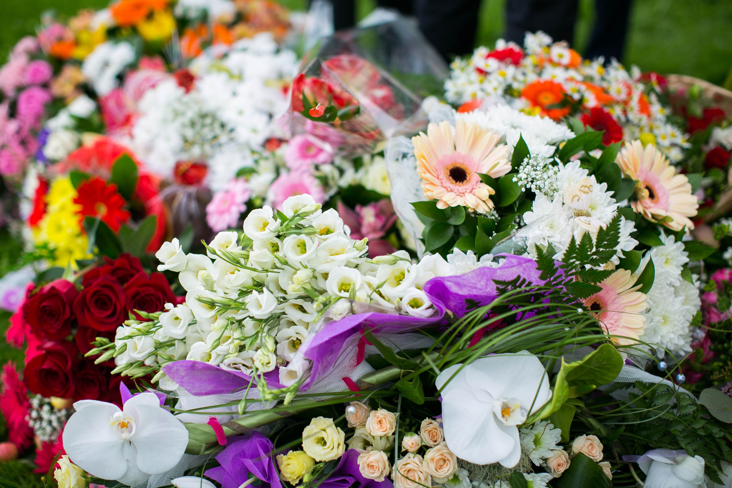 Андрей и Катя. Снимаю съемки