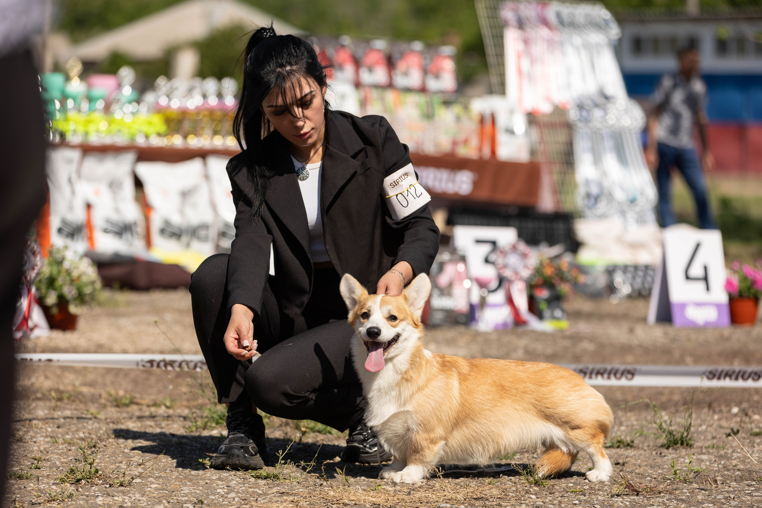 Репортаж (фото с выставок). Фотограф-АниМалист Анна Абрамова