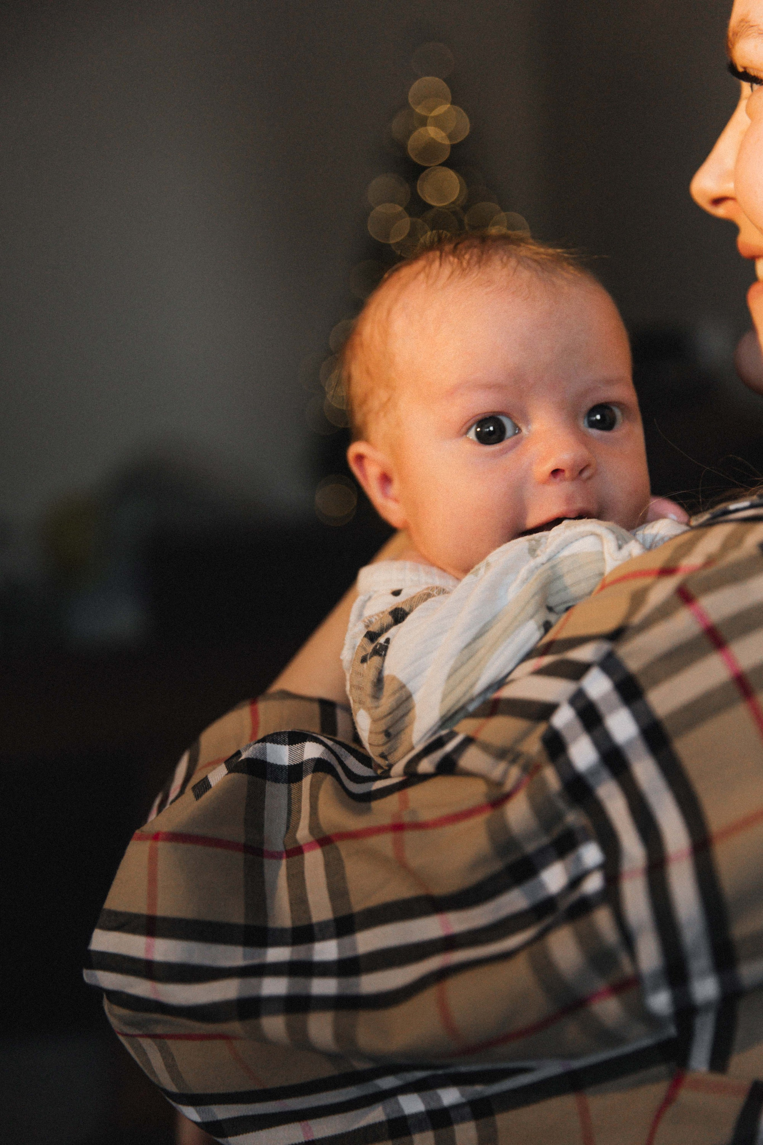 Лев. Фотограф Анастасия Петрова