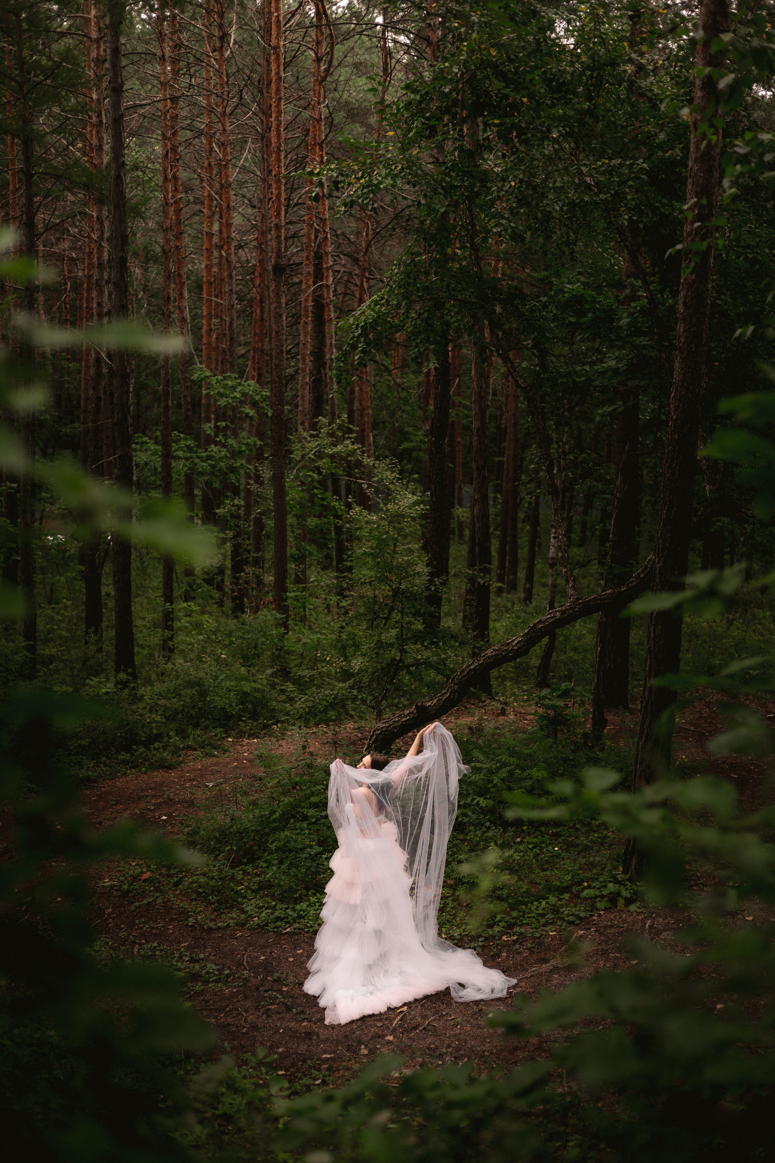 СВАДЬБЫ. Фотограф в г. Благовещенск, свадебные, семейные и индивидуальные