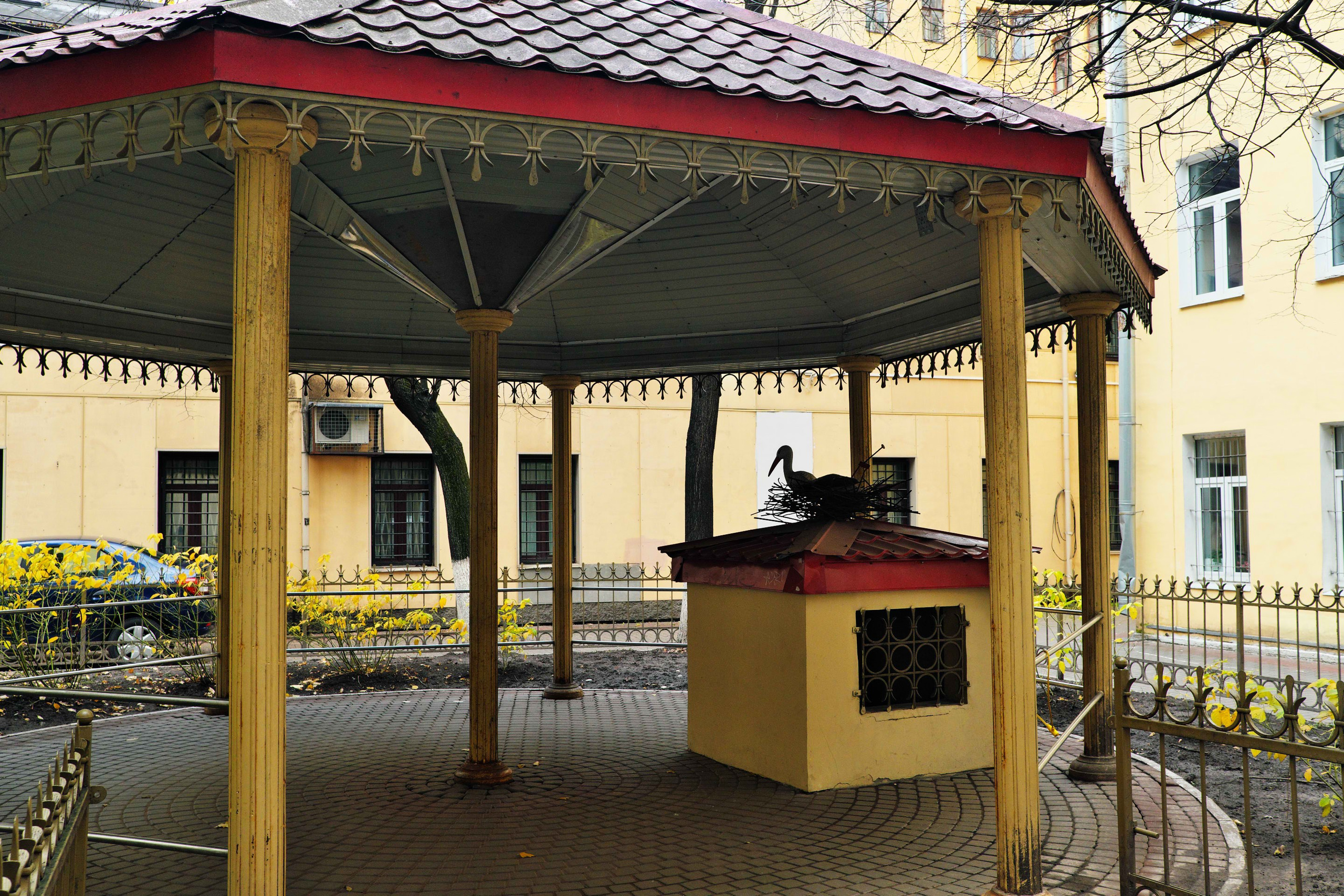 2021.10. Фотограф Алексей Алексеев