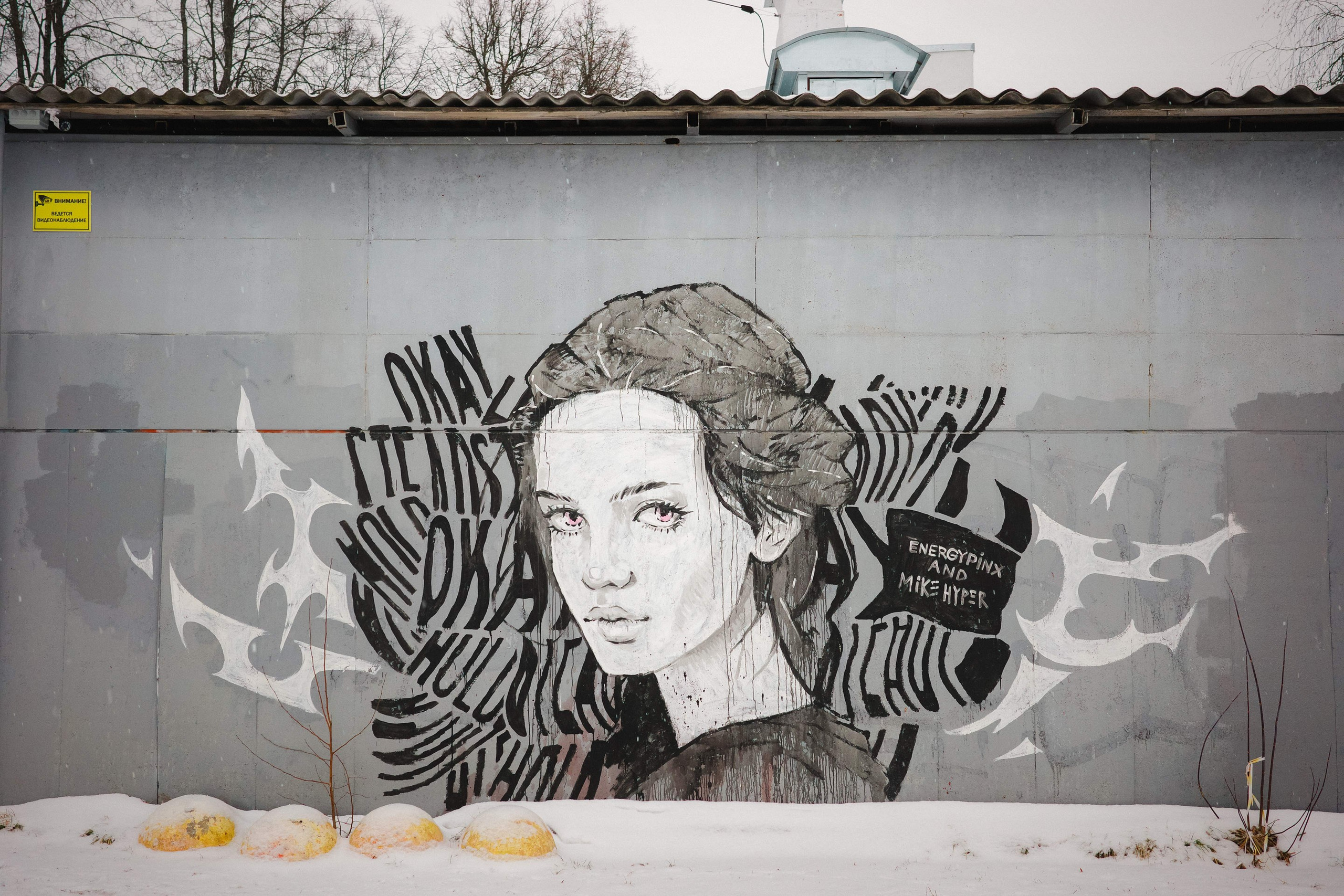 2025.01. Фотограф Алексей Алексеев