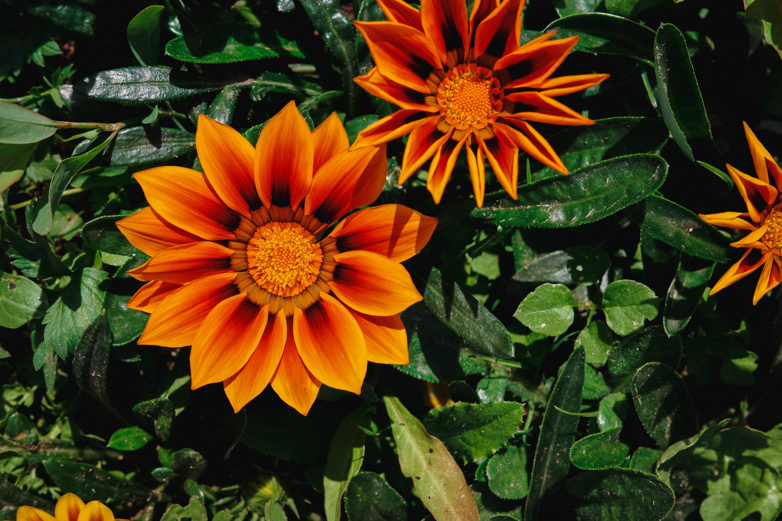 2024.06. Фотограф Алексей Алексеев