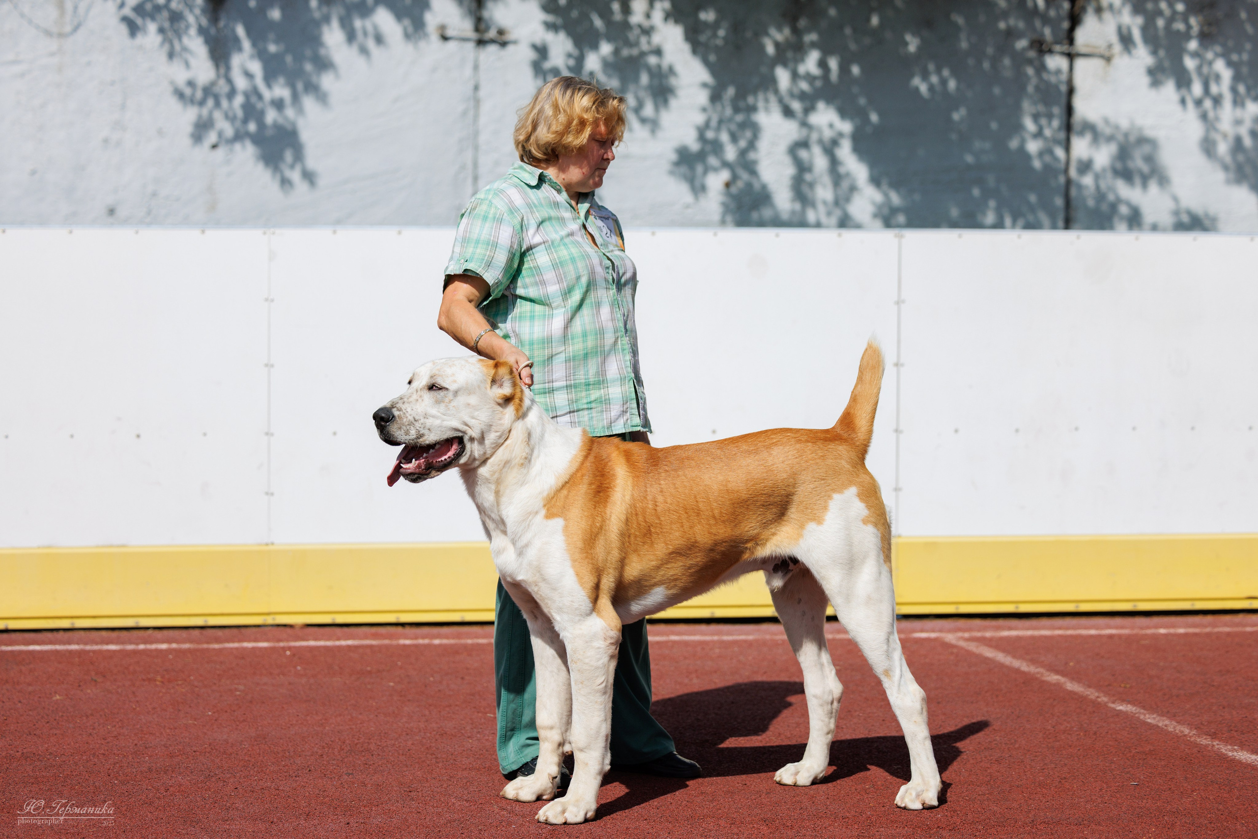 Коломна 30.08.2025. Фотограф-анималист Юлия Германика