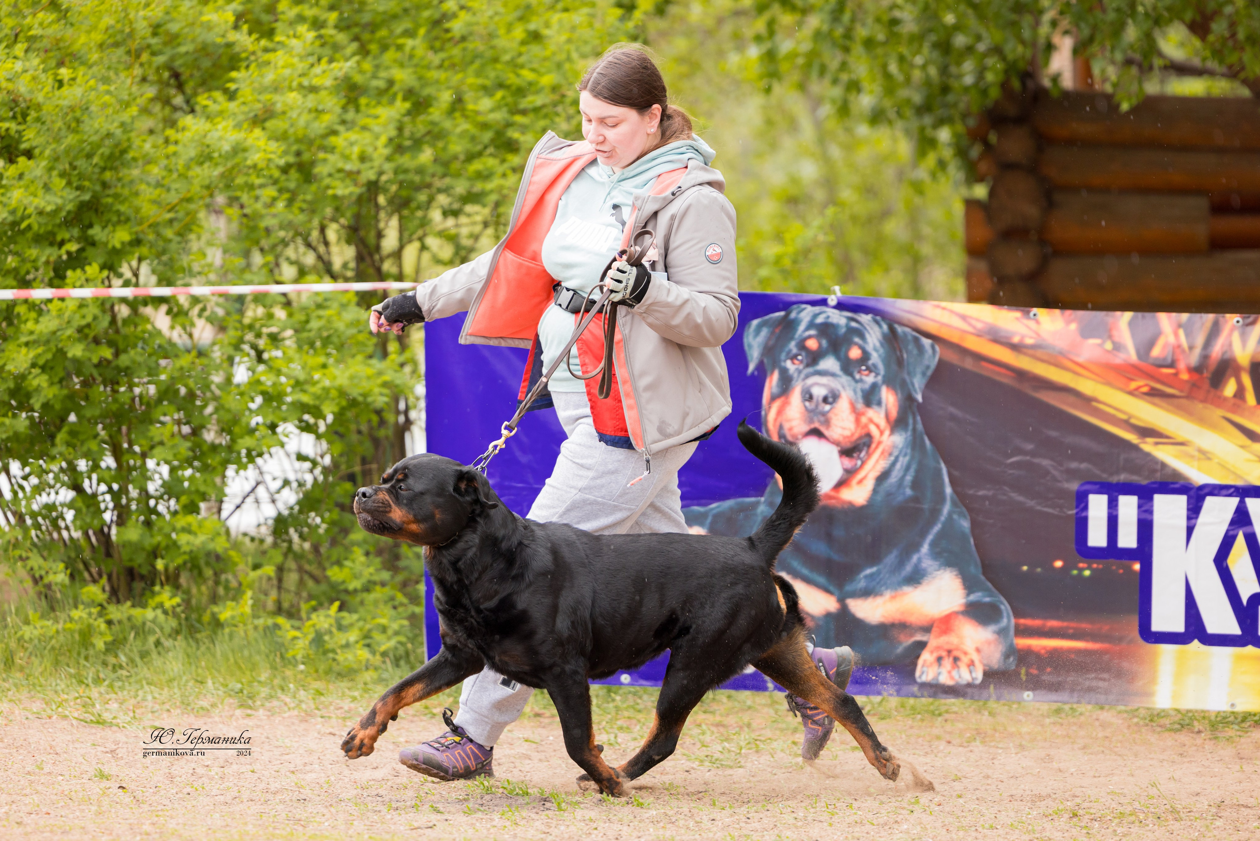 Саратов 2 х моно ротвейлеров 28-29.04.2024. Фотограф-анималист Юлия Германика