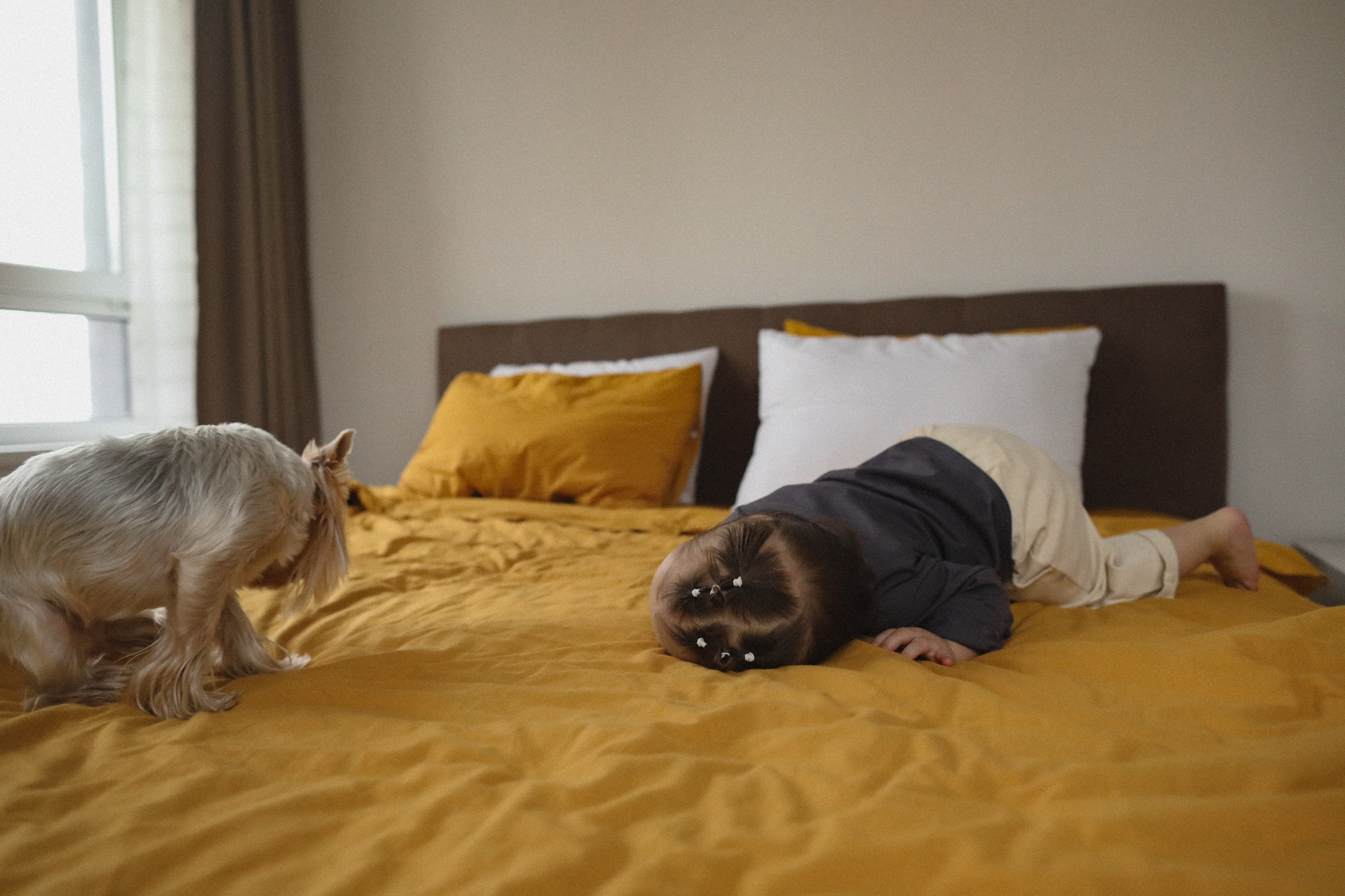 Носики, носики!. Семейный фотограф в Москве Алевтина Носова