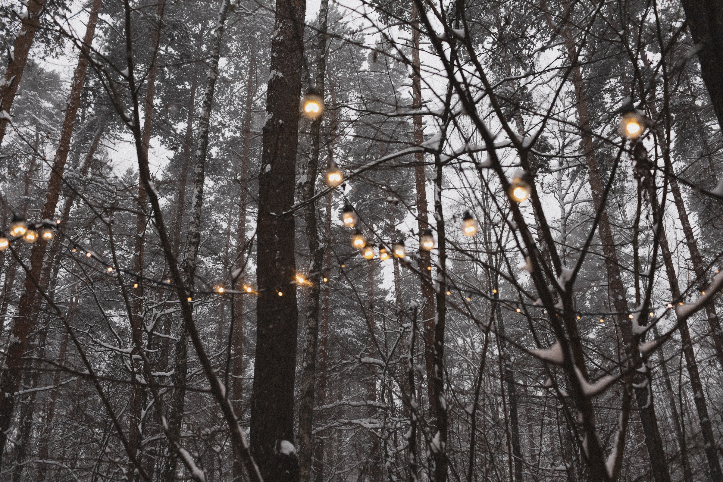 Блинный декабрь. Семейный фотограф в Москве Алевтина Носова