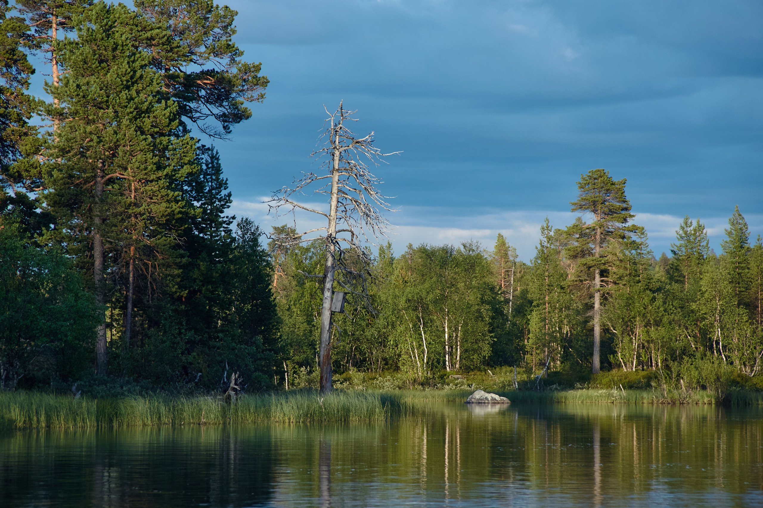 Водоемы. Пейзажи Крайнего Севера. Баренцево море, Рыбачий, Средний, Немецкий