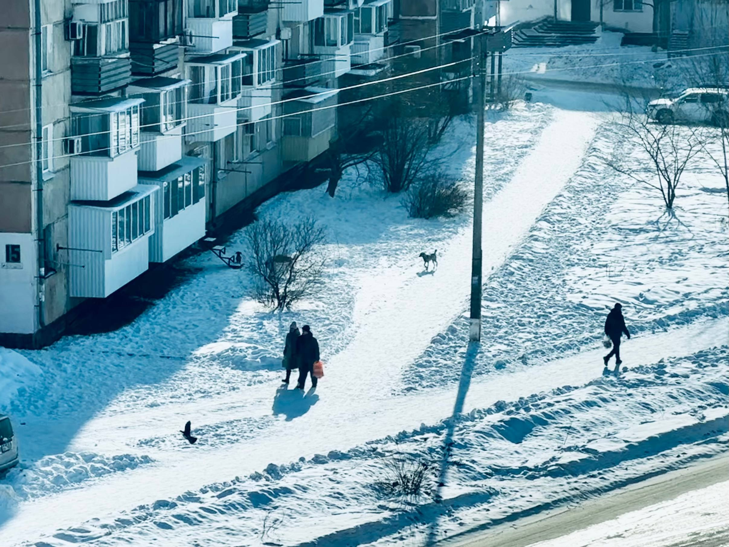 Фотоклуб AZакадром. Верхняя точка съемки. Женский семейный фотограф Тула Москва Захарова Анна