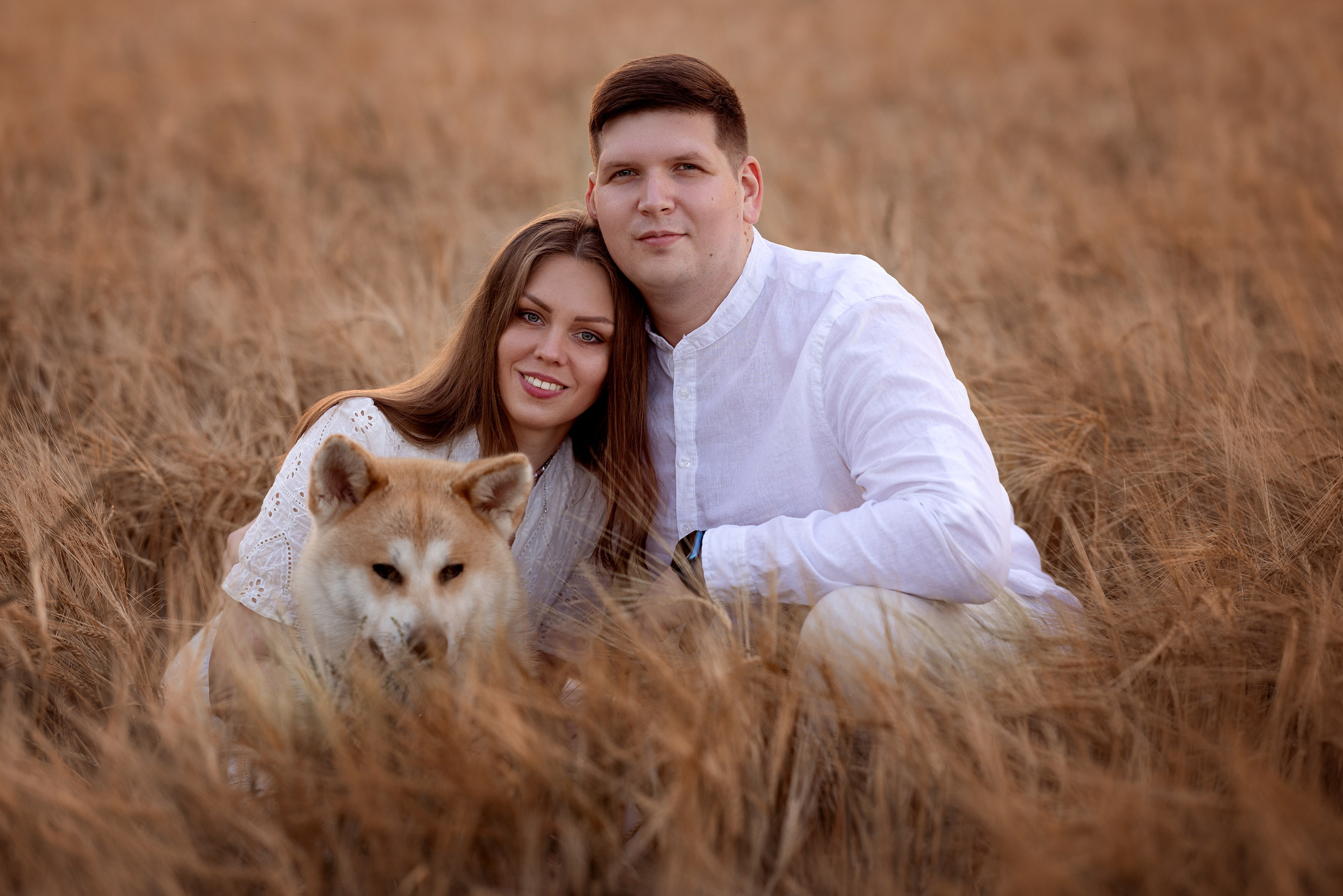 Пшеница. Фотограф Ульянкина Мария