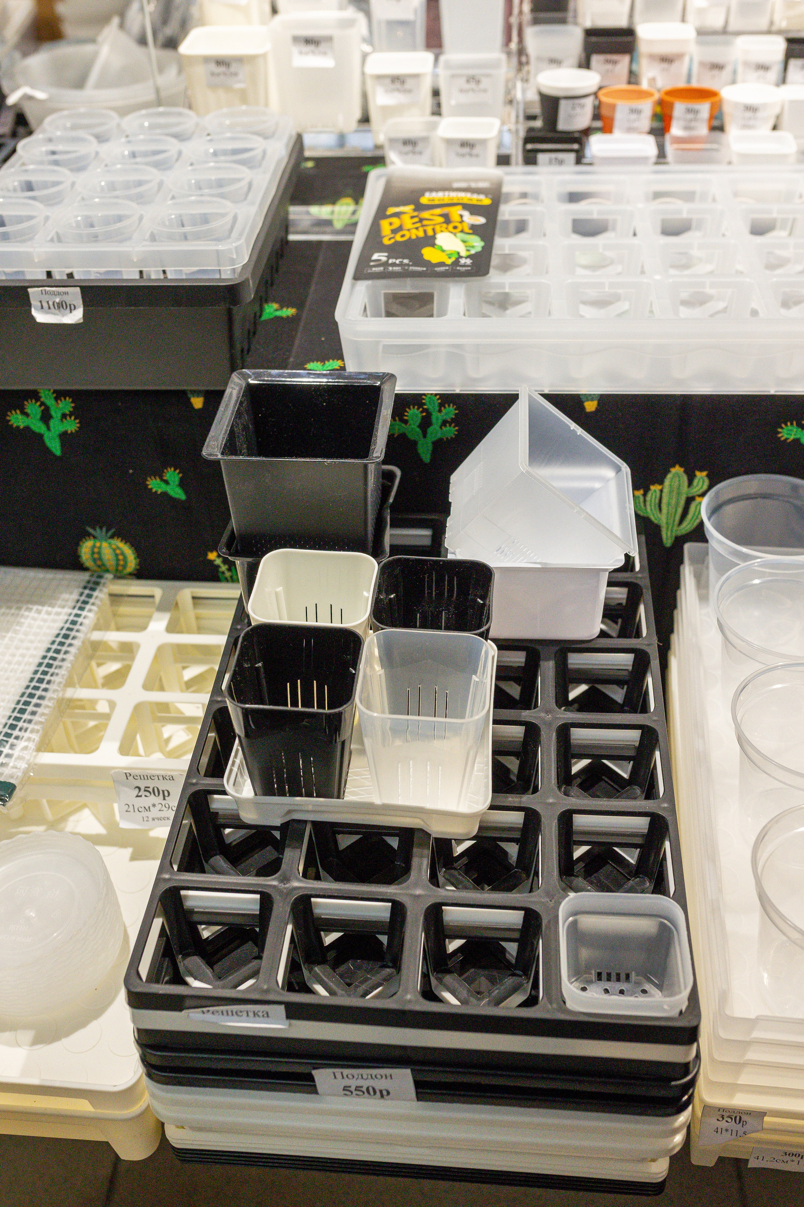 Ярмарка Green Rare 20.09.25. Александра Куликова фотограф, Москва