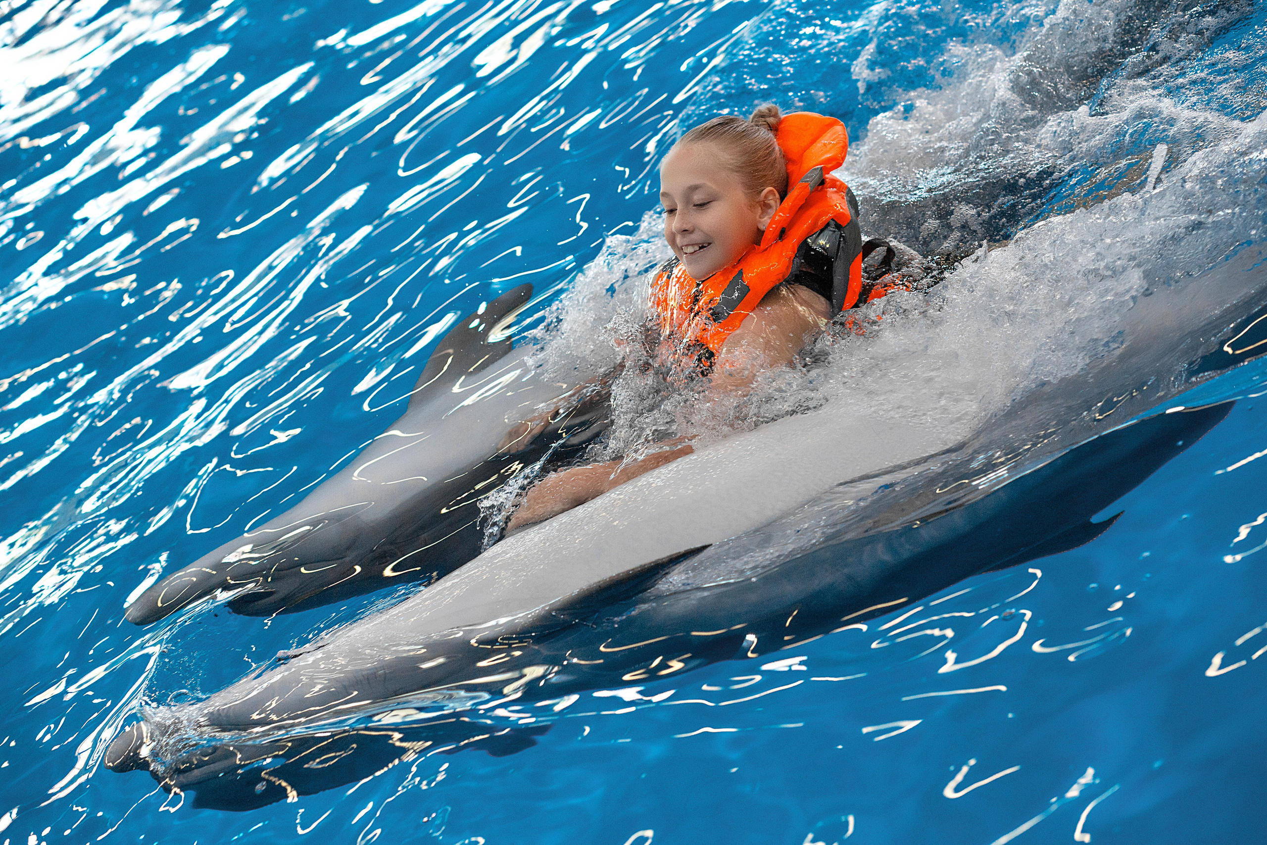 Арина и дельфины. Фотосессия с лошадьми в Нижнем Новгороде