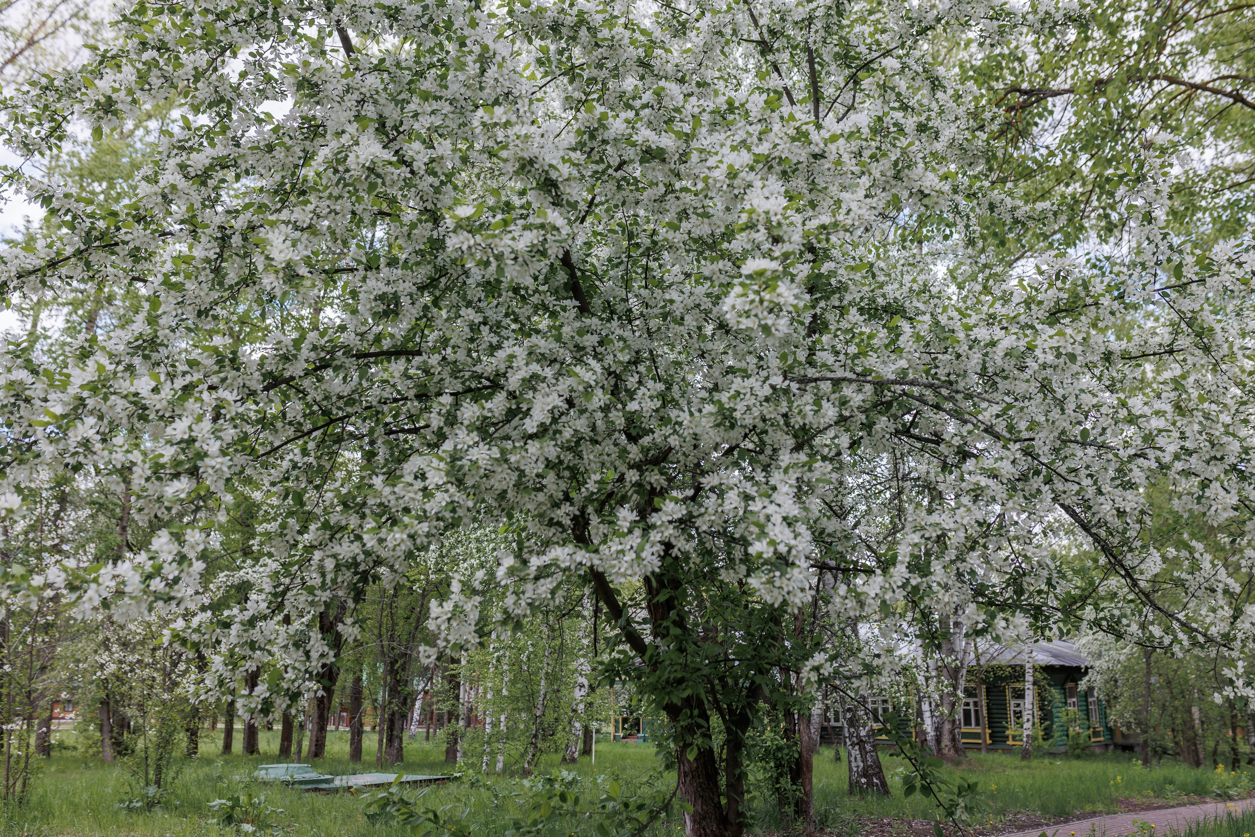 База отдыха «Металлург». Фотограф городских и семейных событий в Нижнем Новгороде Артем Карпухин