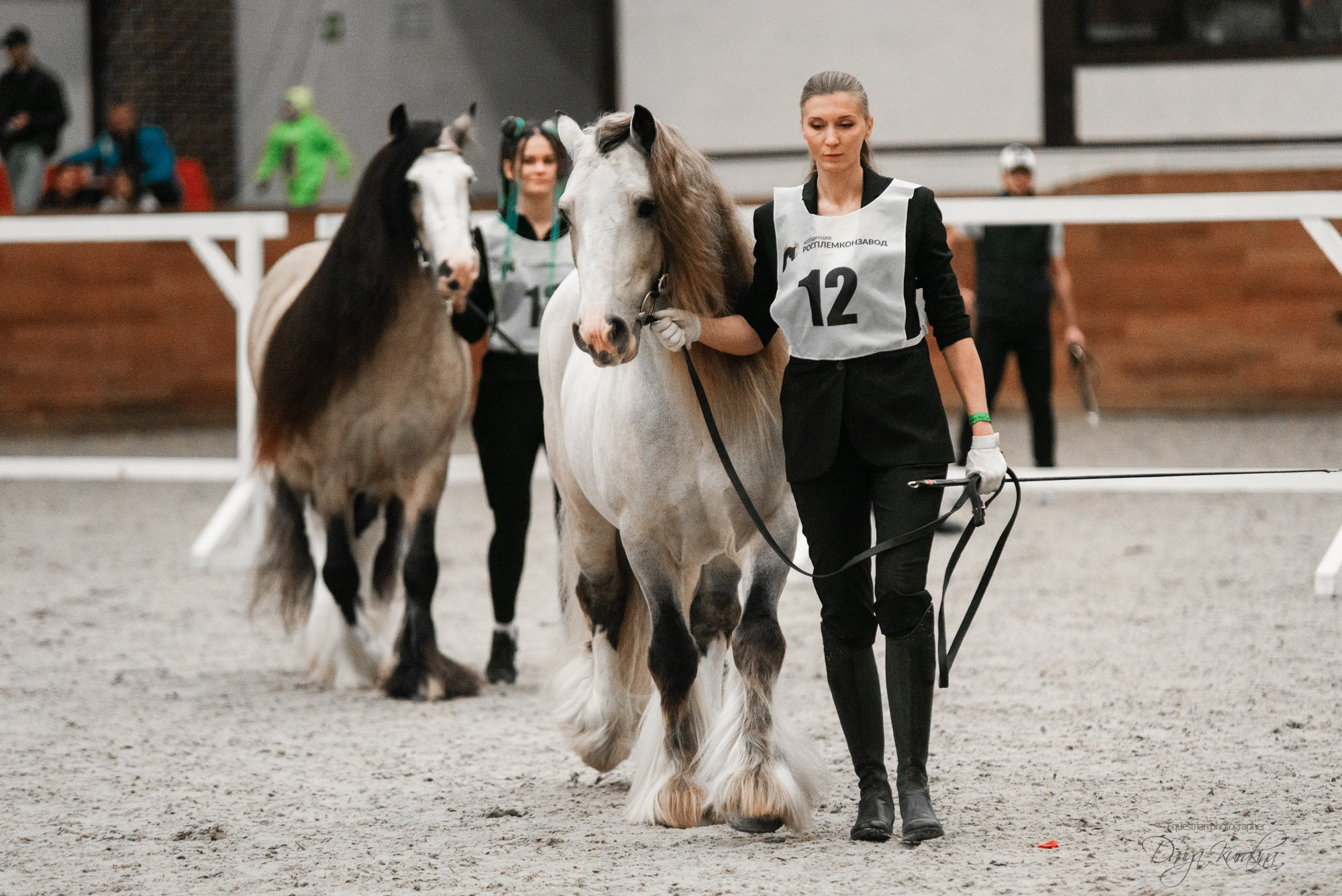 8-я международная выставка Конная Россия. Конный фотограф Куракина Дарья • Фотосессии с лошадьми