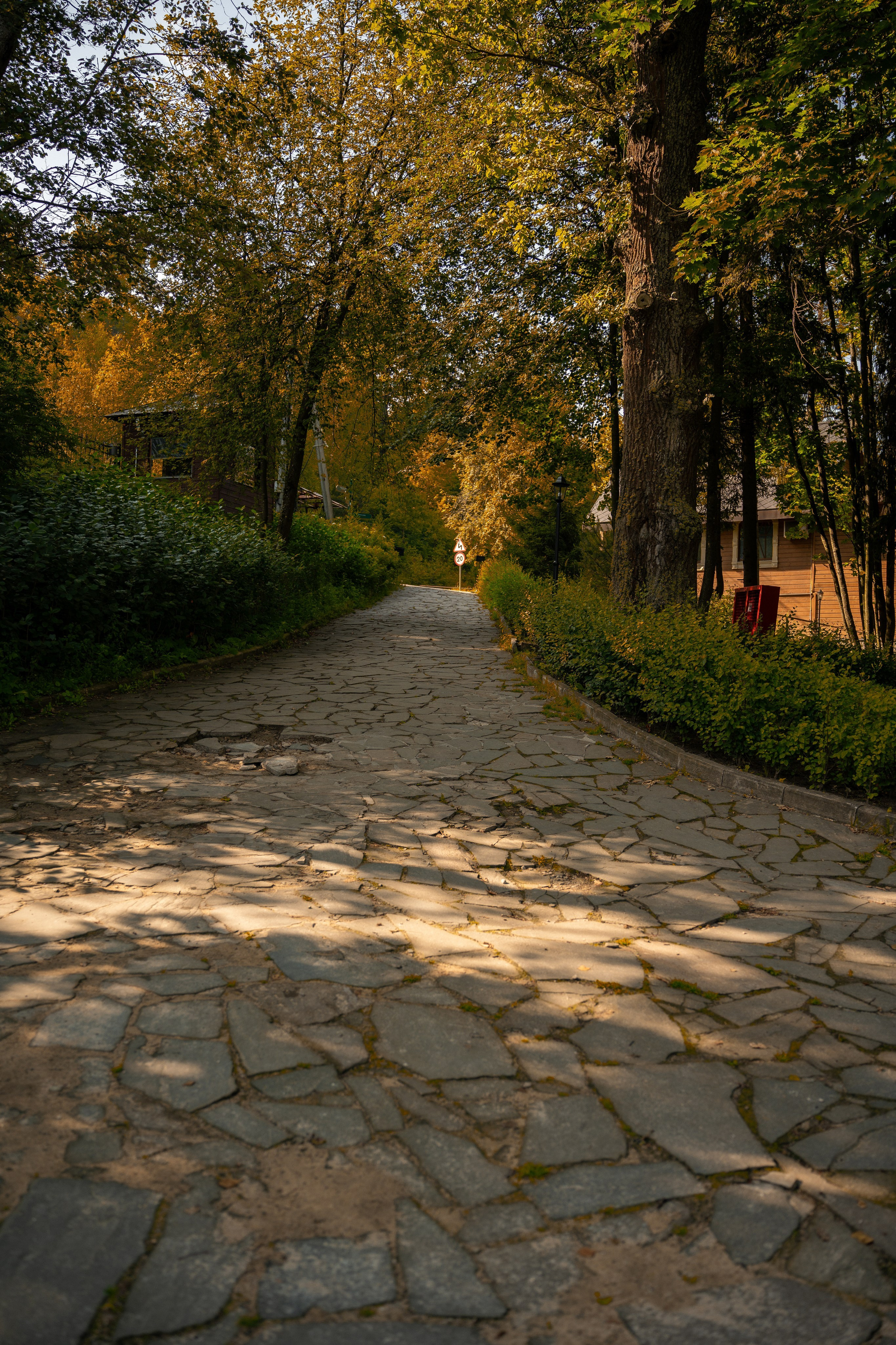 ATMOSPHERE. Фотограф Юрина Ксения Москва