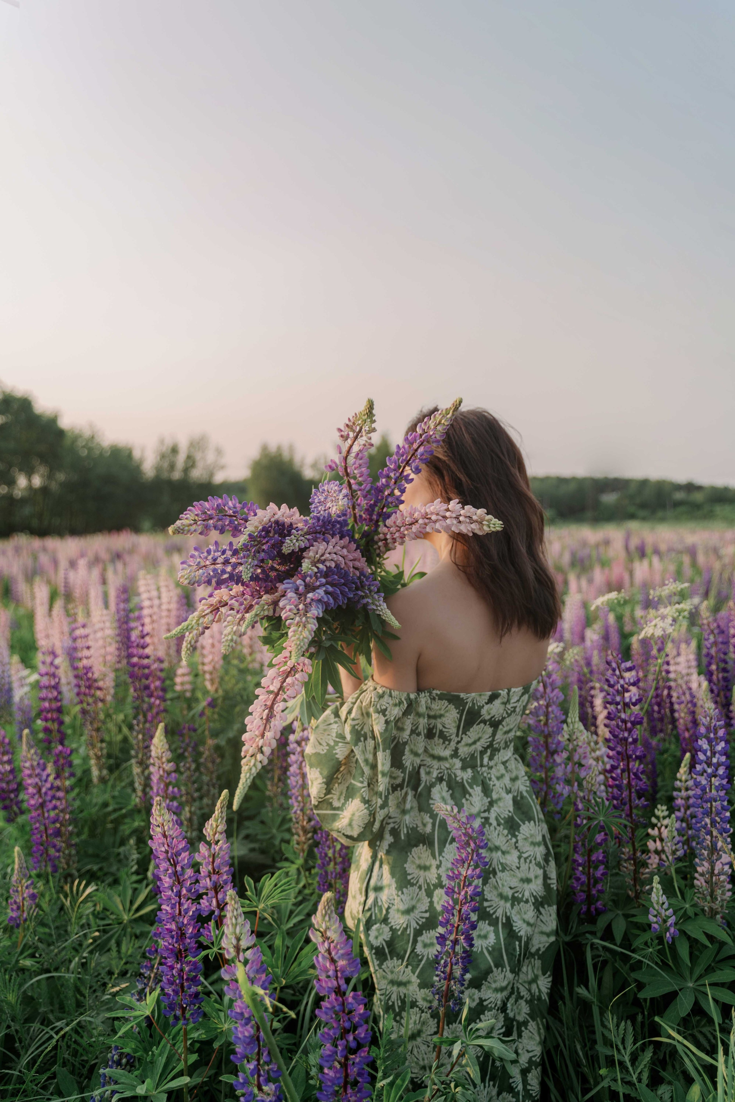Наташа и люпины. Фотограф и видеограф в Москве и Абу Даби Мария Кулагина
