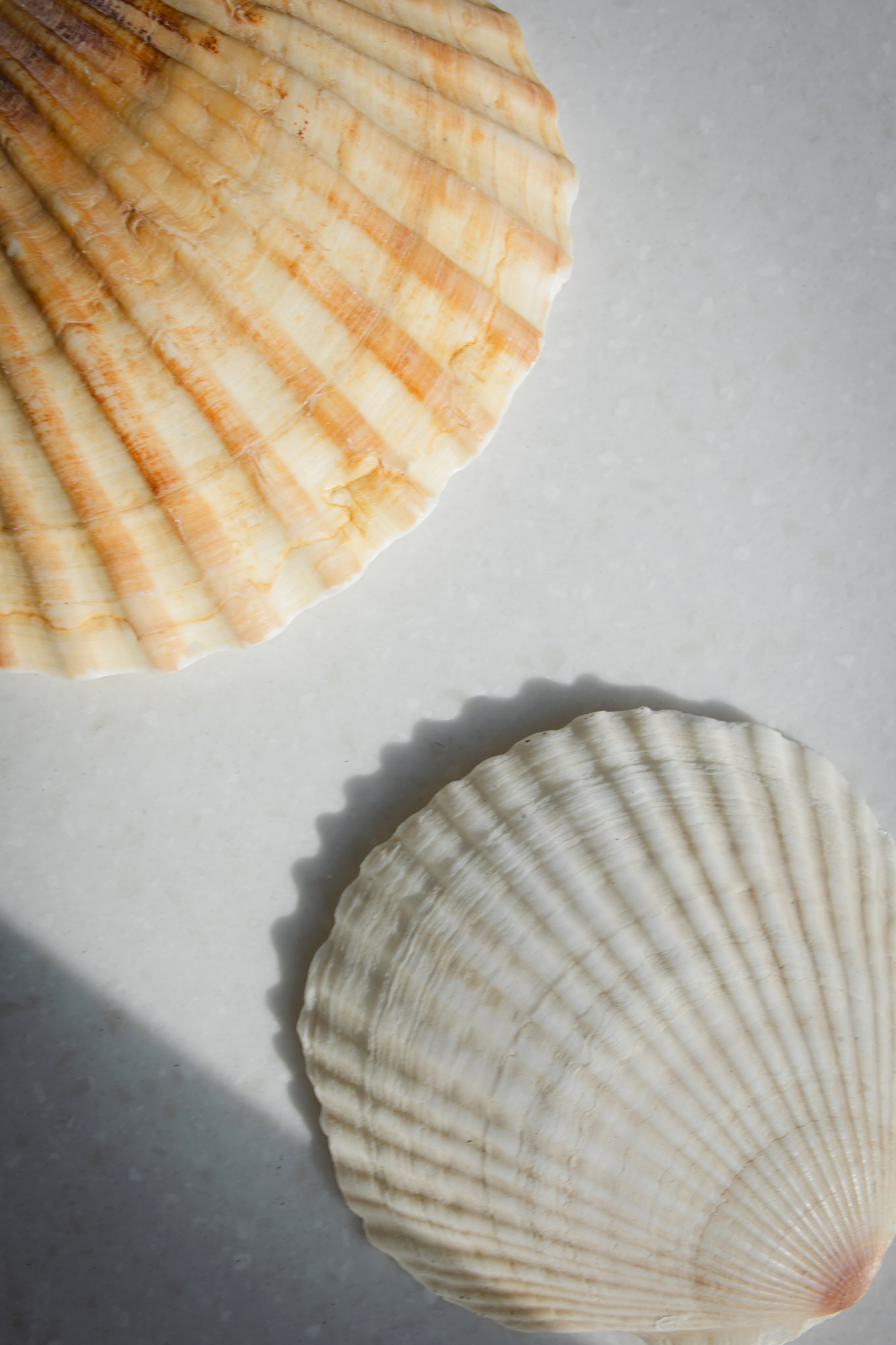 ПИФАГОР. Фотограф Агеева Мария