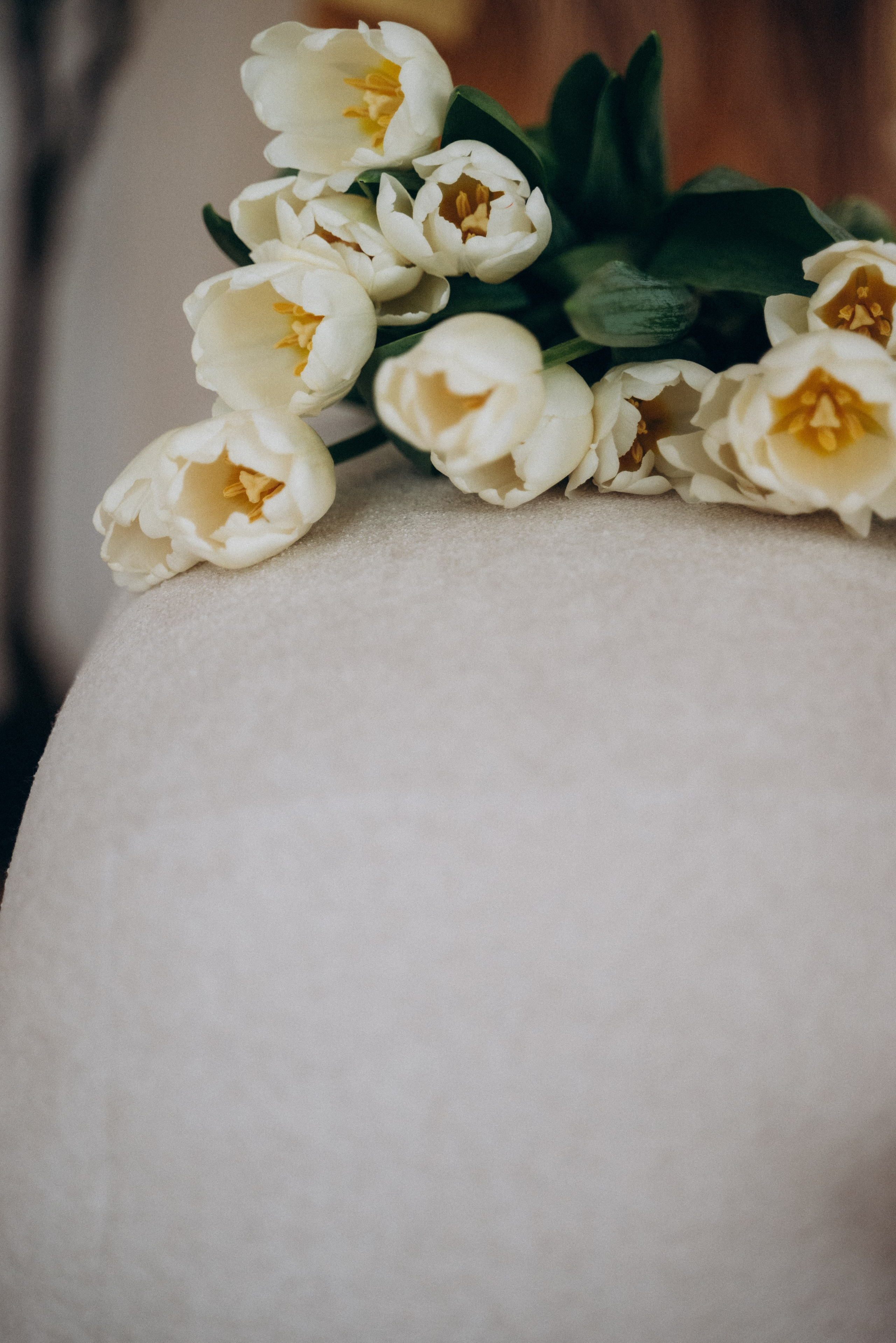 Оксана — весенний фотодень. Семейный фотограф в Минске Дарья Дреко