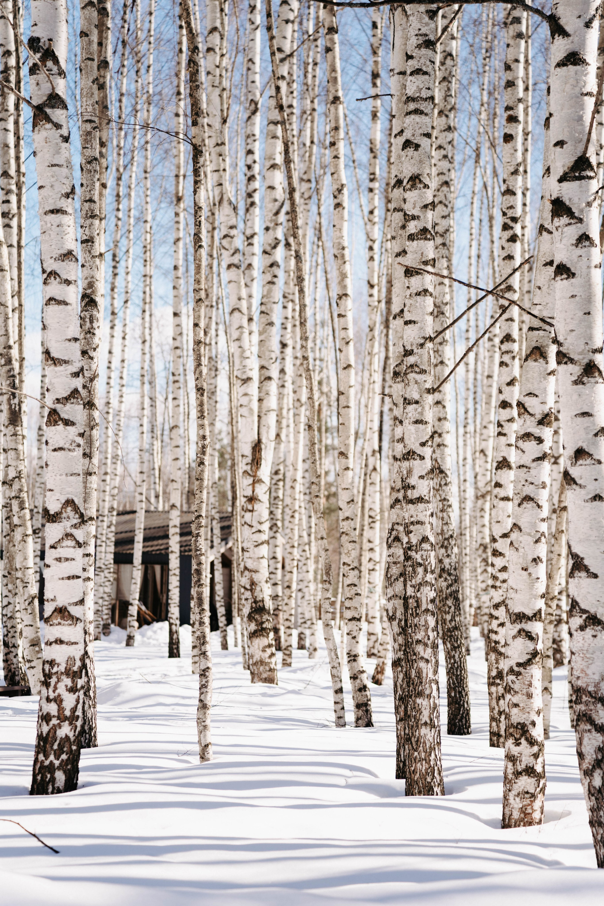 Междуречье|Экоотель. Фотограф Абакумова Анастасия