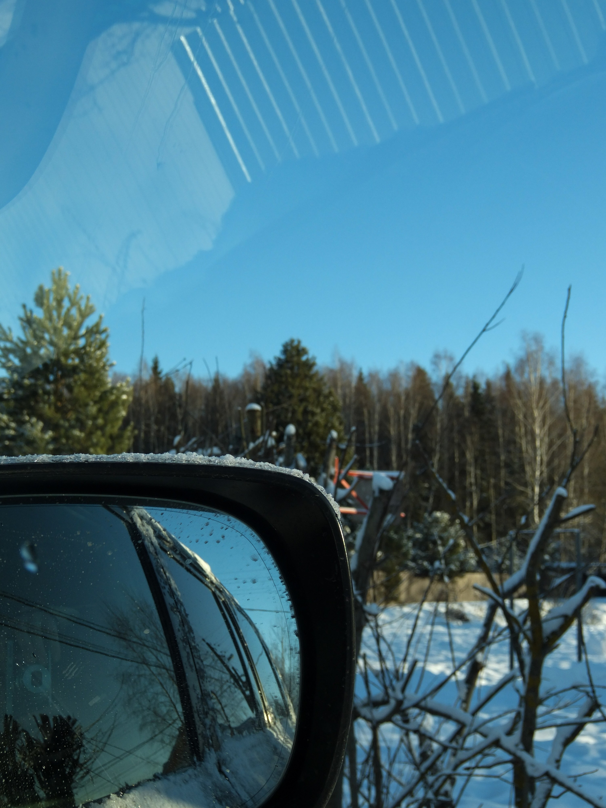 Солнечный день Нового Года. Фотограф-документалист Мария Осокина