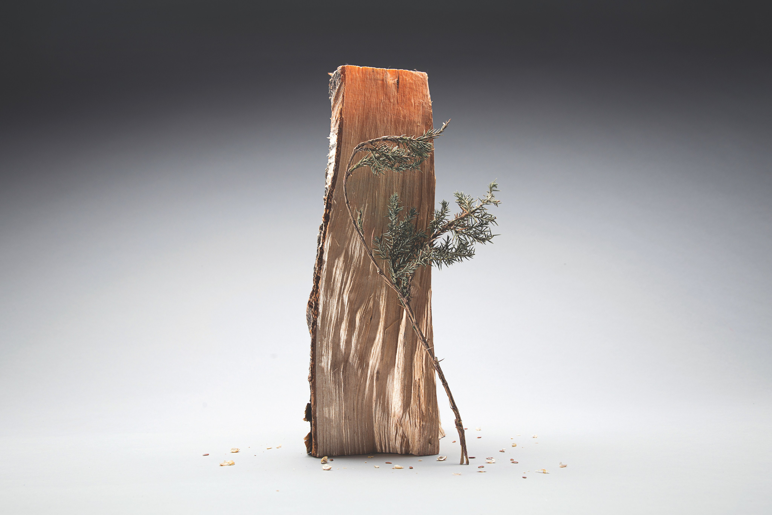 Wood recycling project. Andrew Valmus