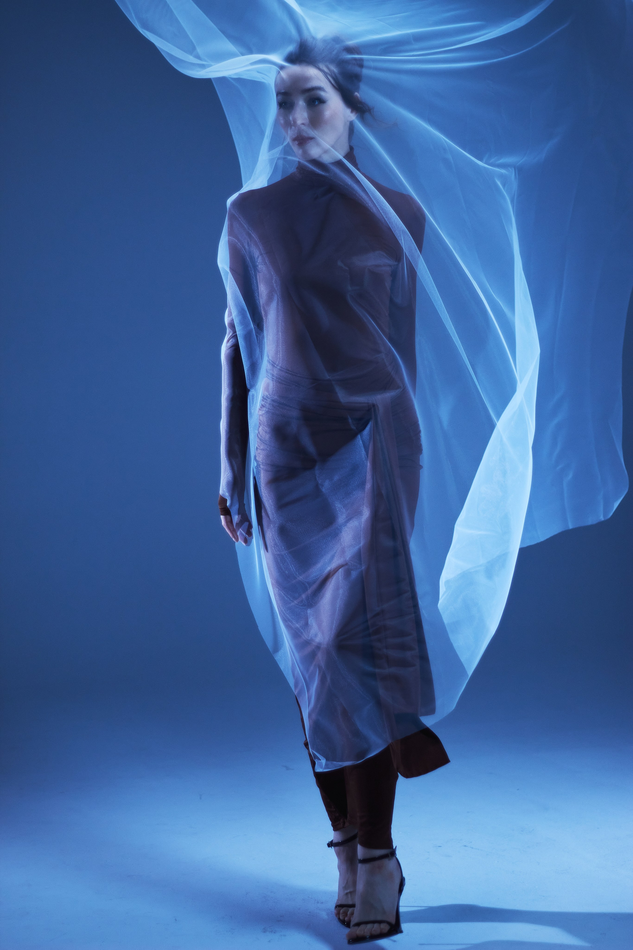 Юлия. Фотограф анималист — Тула, Москва