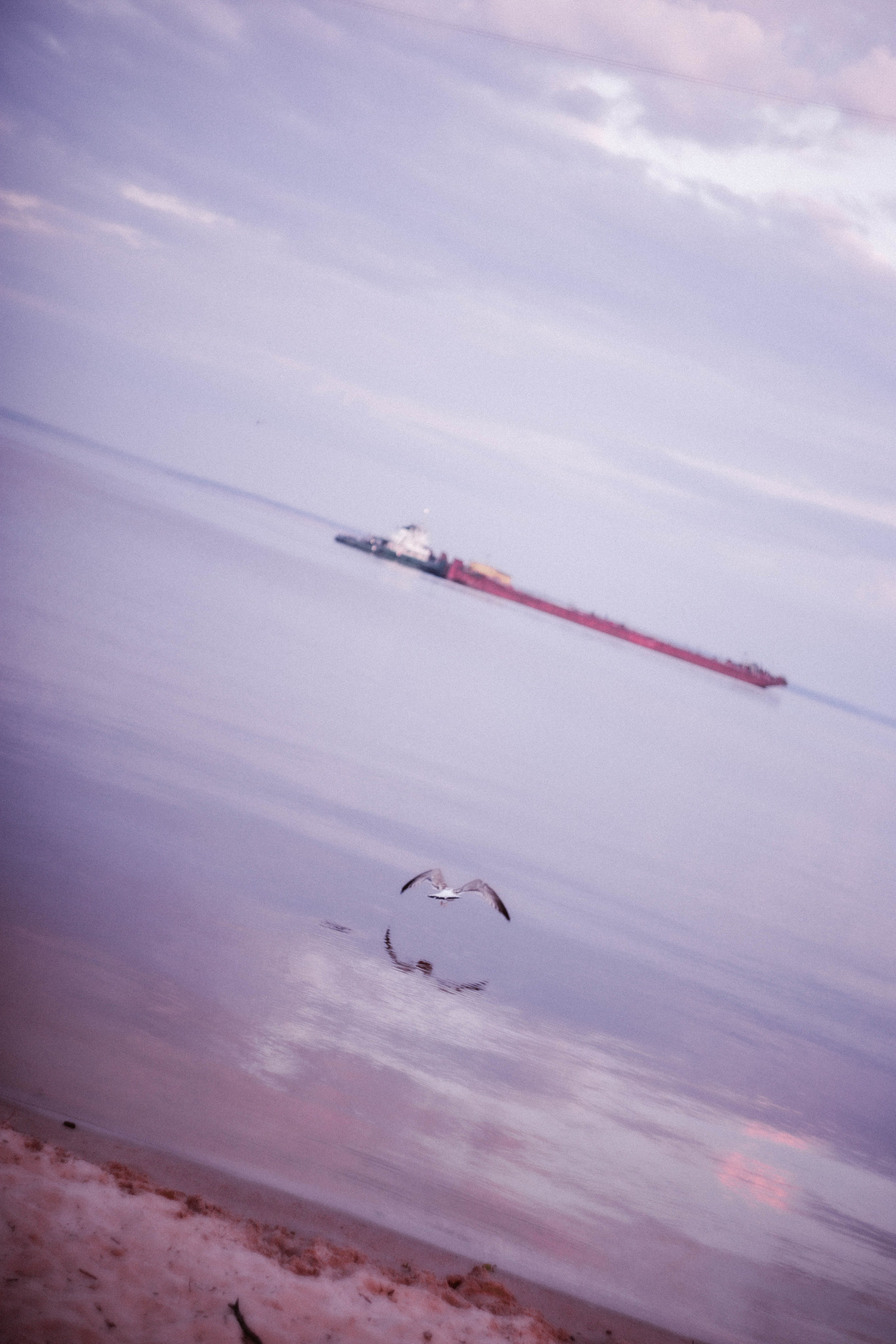 ФотоТуса ГОРЕ-МОРЕ. Фотограф в Нижнем Новгороде