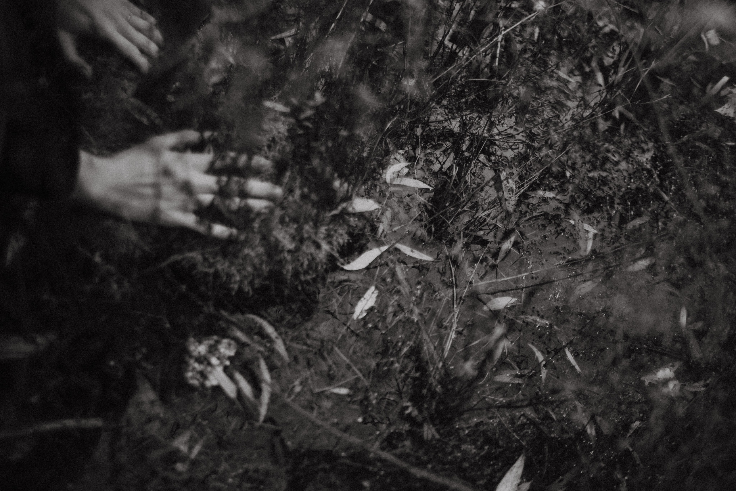 Ариадна. Фотограф в Нижнем Новгороде