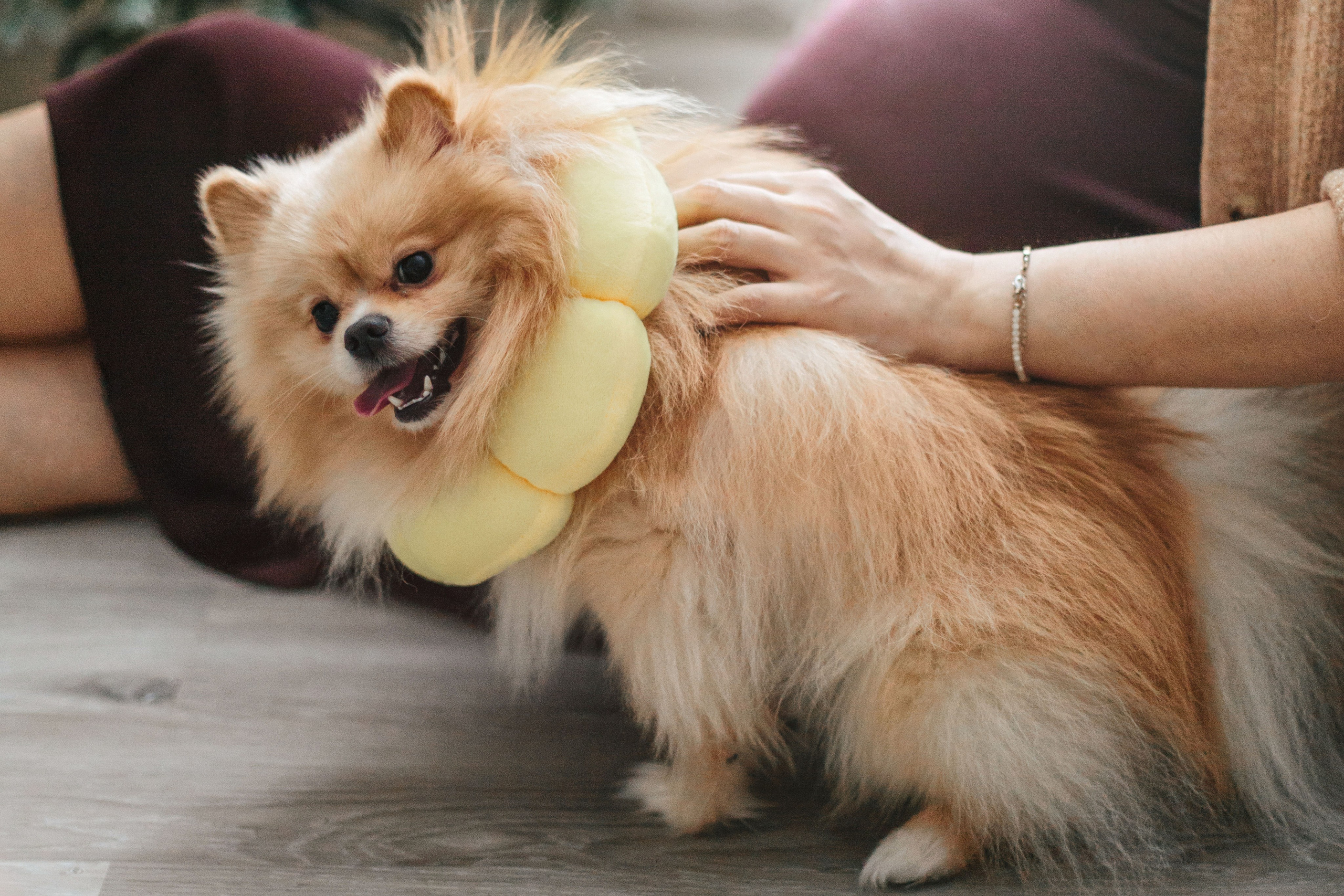 Домашняя съемка Маша и девочки. Детский и семейный фотограф в Москве Татьяна Козлова
