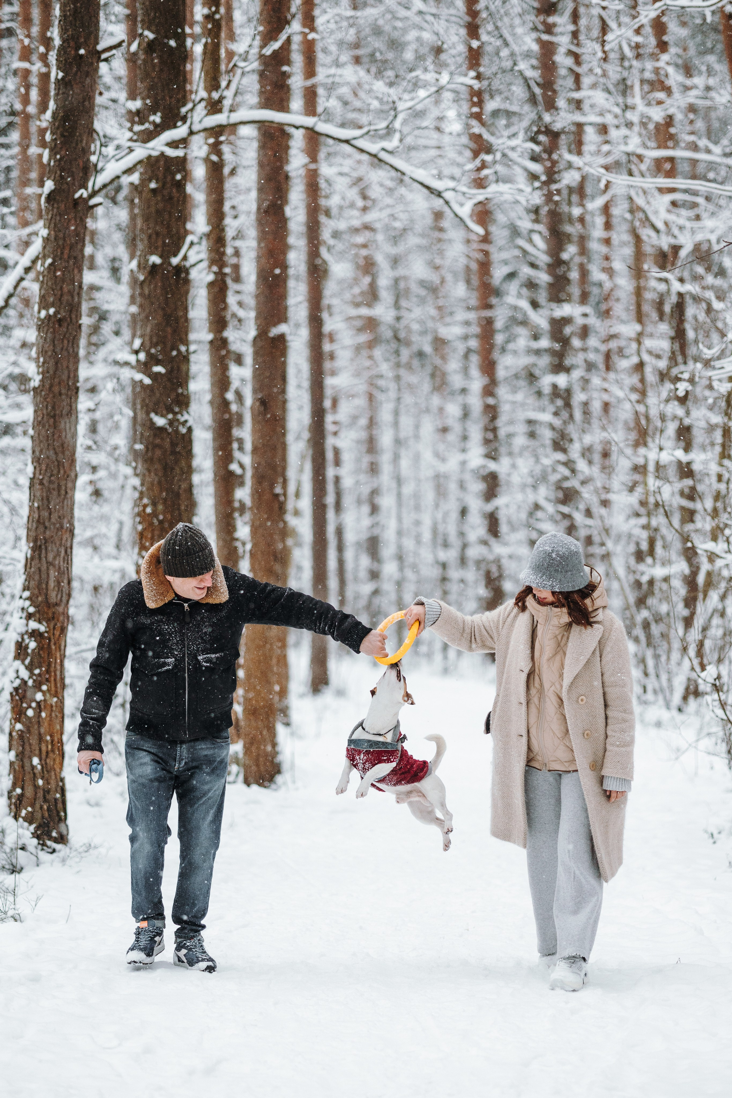 Мики и его семья. Фотограф — Анималист | Санкт-Петербург