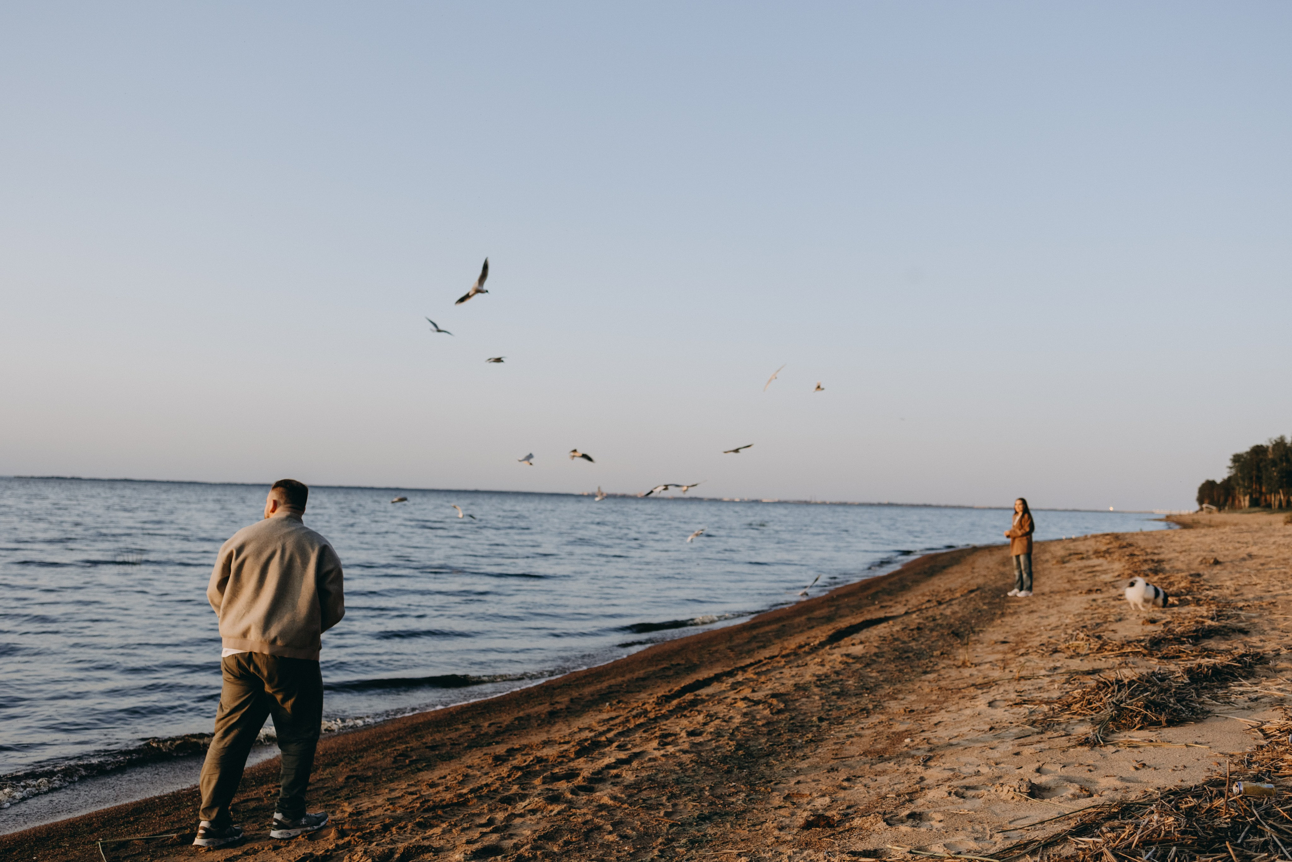 Диана и ее мальчики. Фотограф — Анималист | Санкт-Петербург