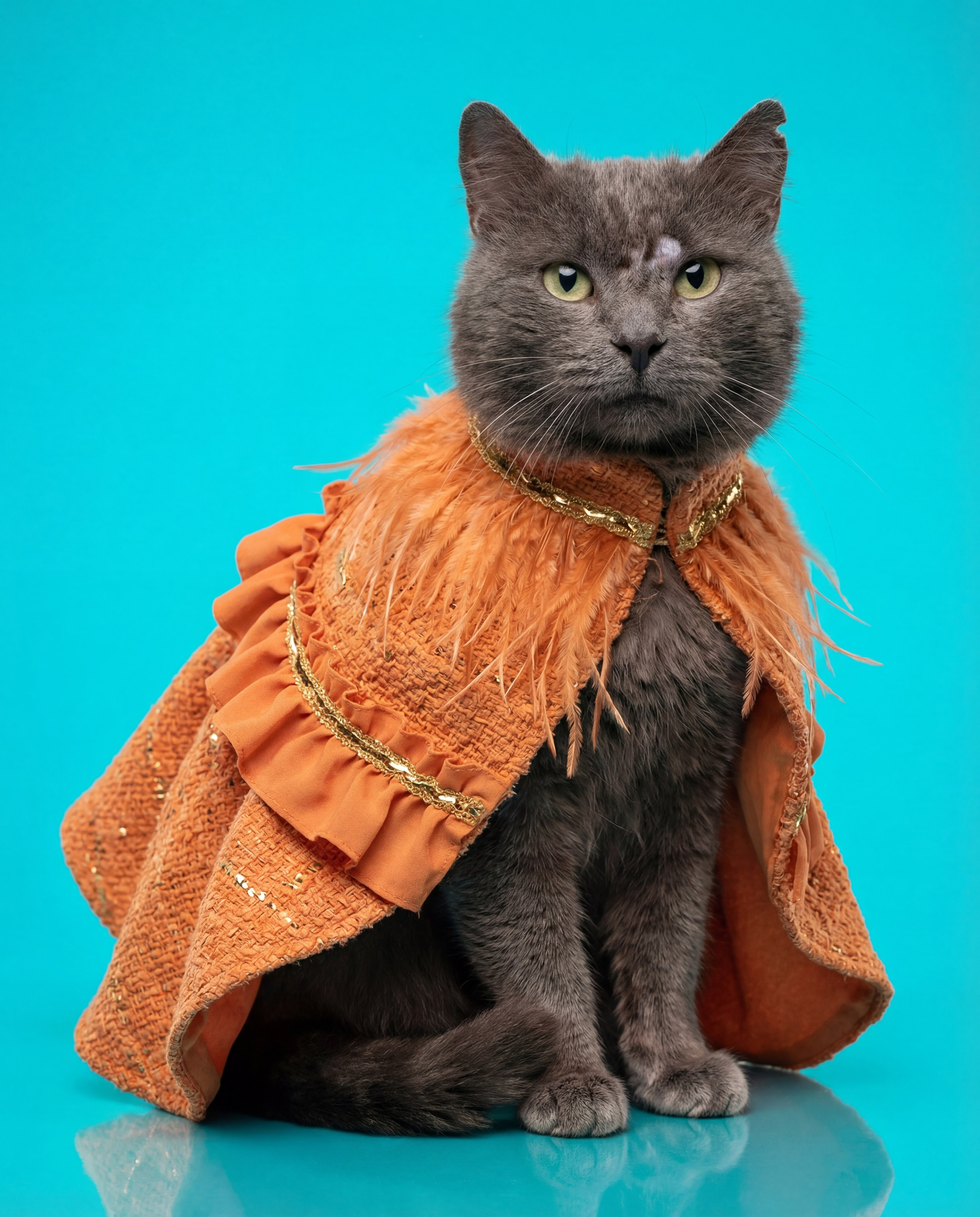 Животные. Главная