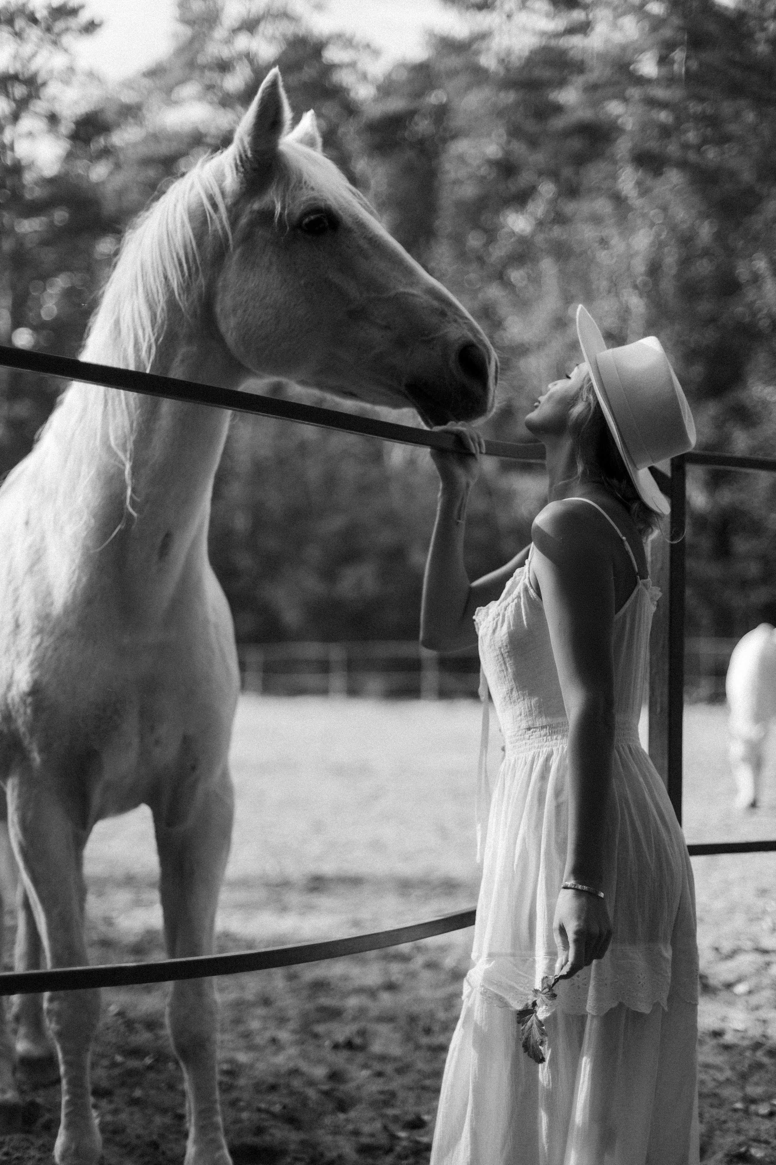 С Лошадьми. Фотограф