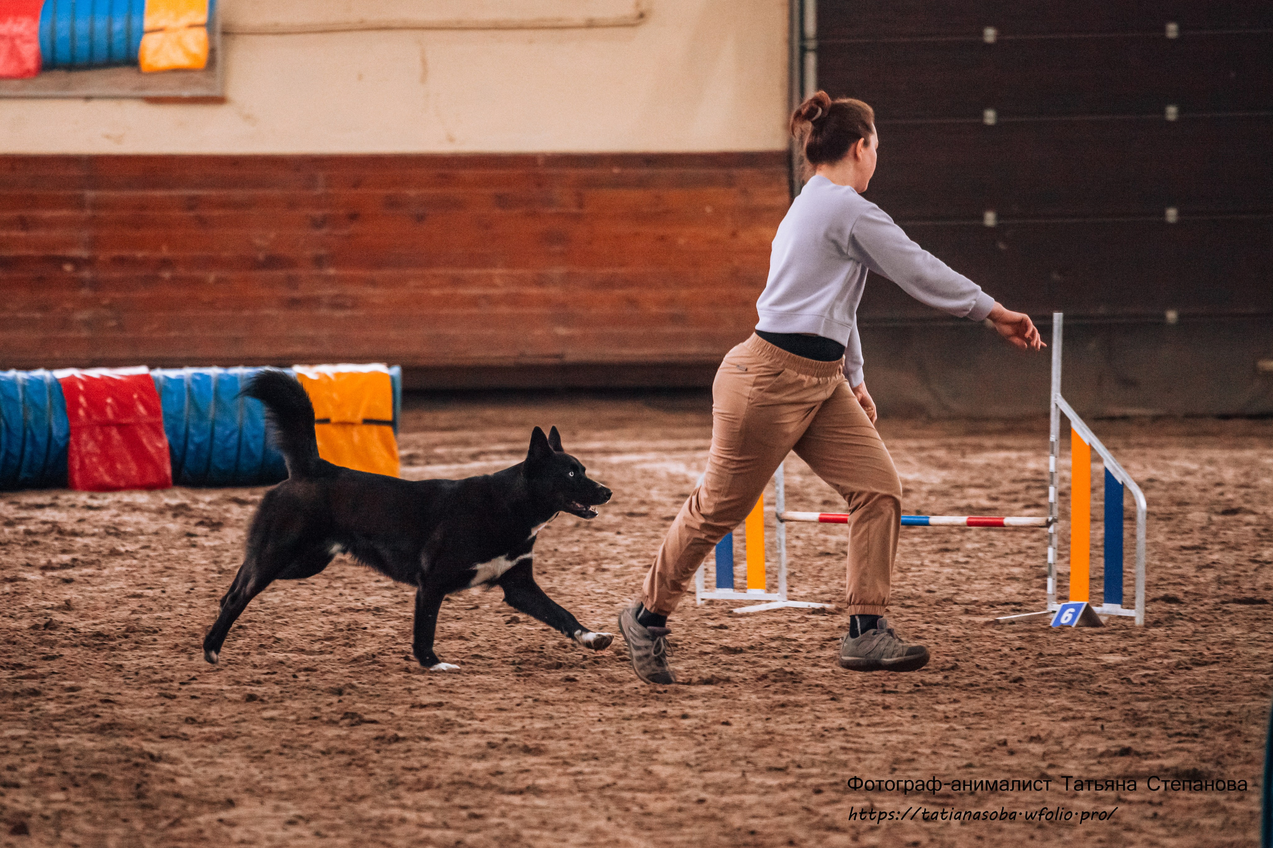 Соревнования по Аджилити 25.02.2024. Фотограф-анималист Татьяна Степанова