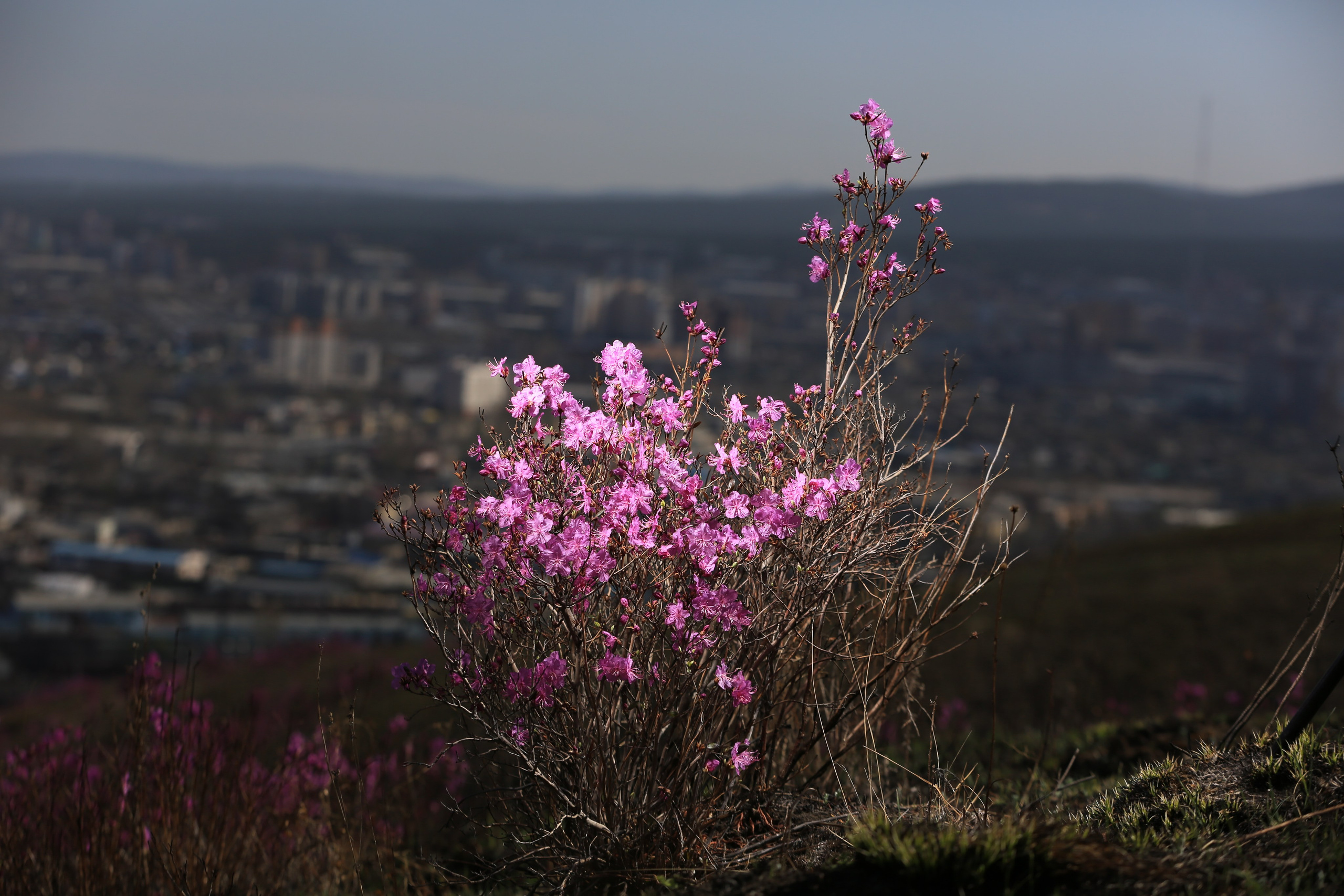 Фото Природы Забайкалья. Студия Максима Белослюдцева