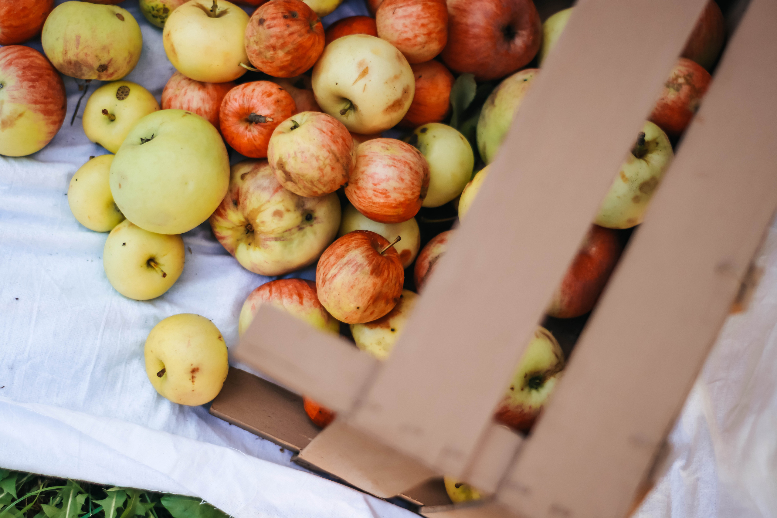 Эвелина и Алёна. Фотограф Дарья Маташкова